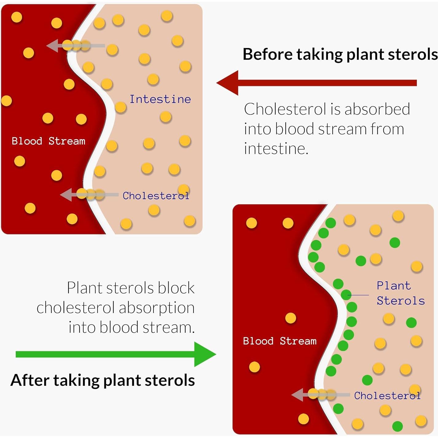 Suplemento de Bergamota Cítrica UpNourish 120 Gelatinas Blandas