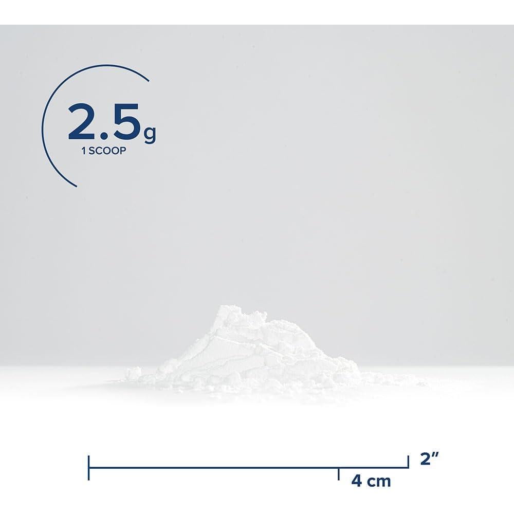 Polvo de Malato de Magnesio Seeking Health 500 mg - 100 Porciones