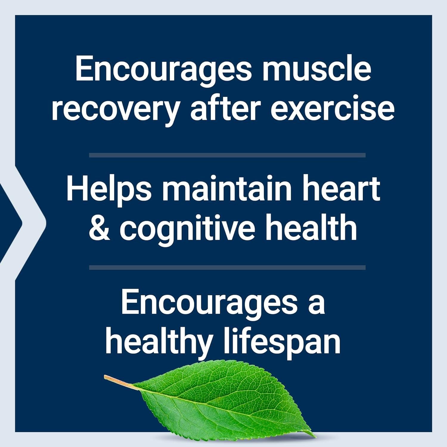 Suplemento de Taurina Life Extension 1000 mg 90 Cápsulas