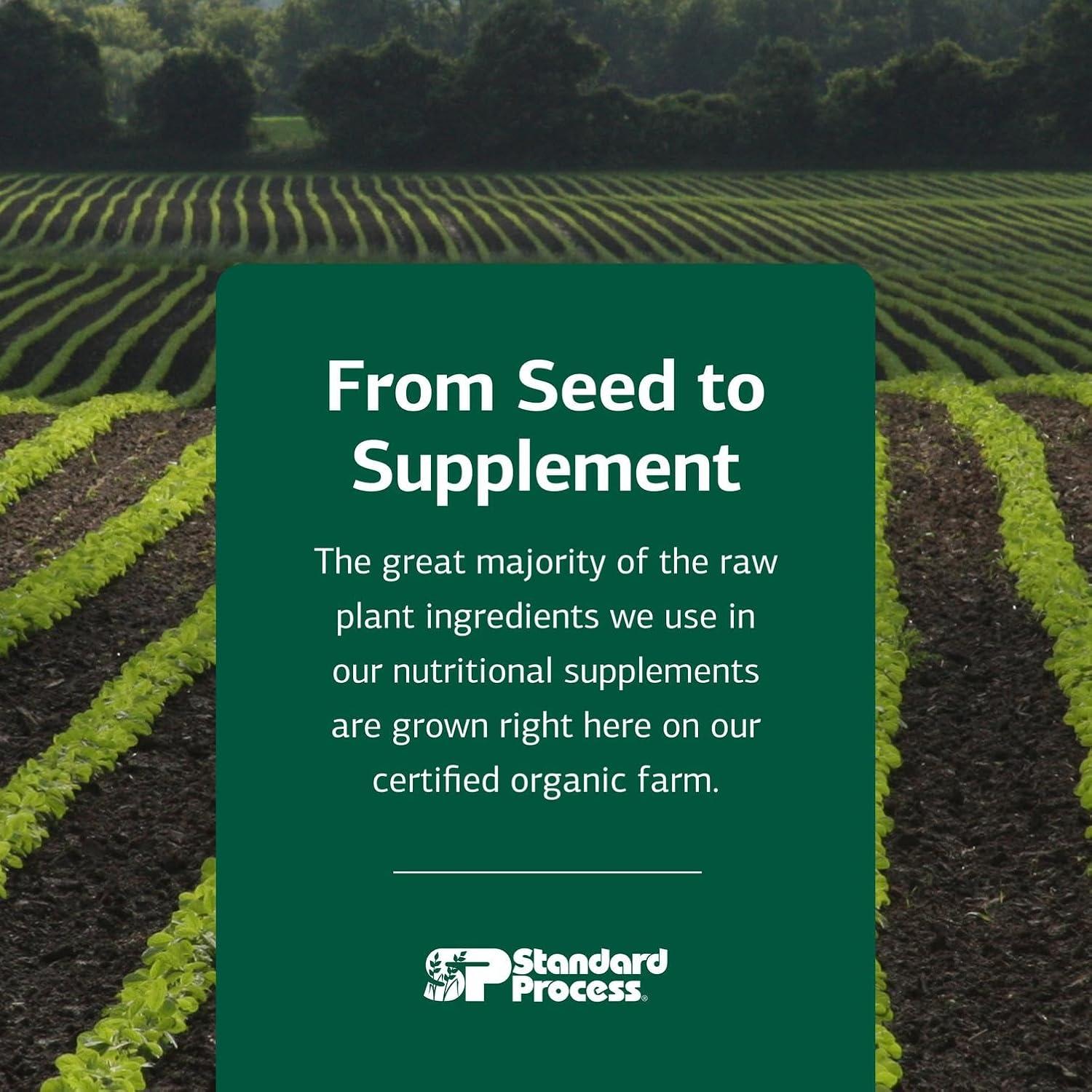 Suplemento Dental y Óseo Standard Process 180 Tabletas