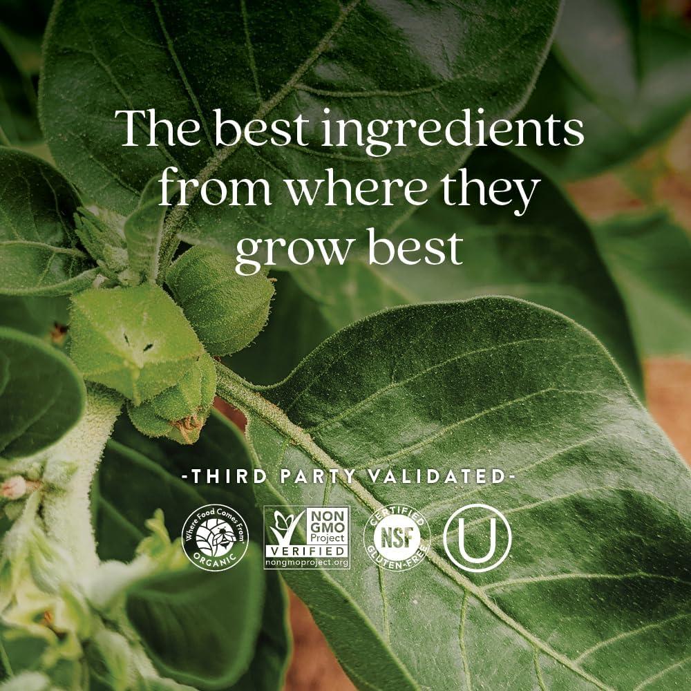 Suplemento Orgánico Ashwagandha New Chapter 60 Cápsulas Veganas