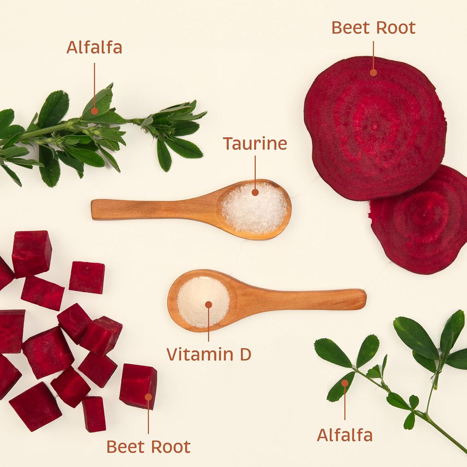 Suplemento Salud Integral para Perros Standard Process 90 Tabletas