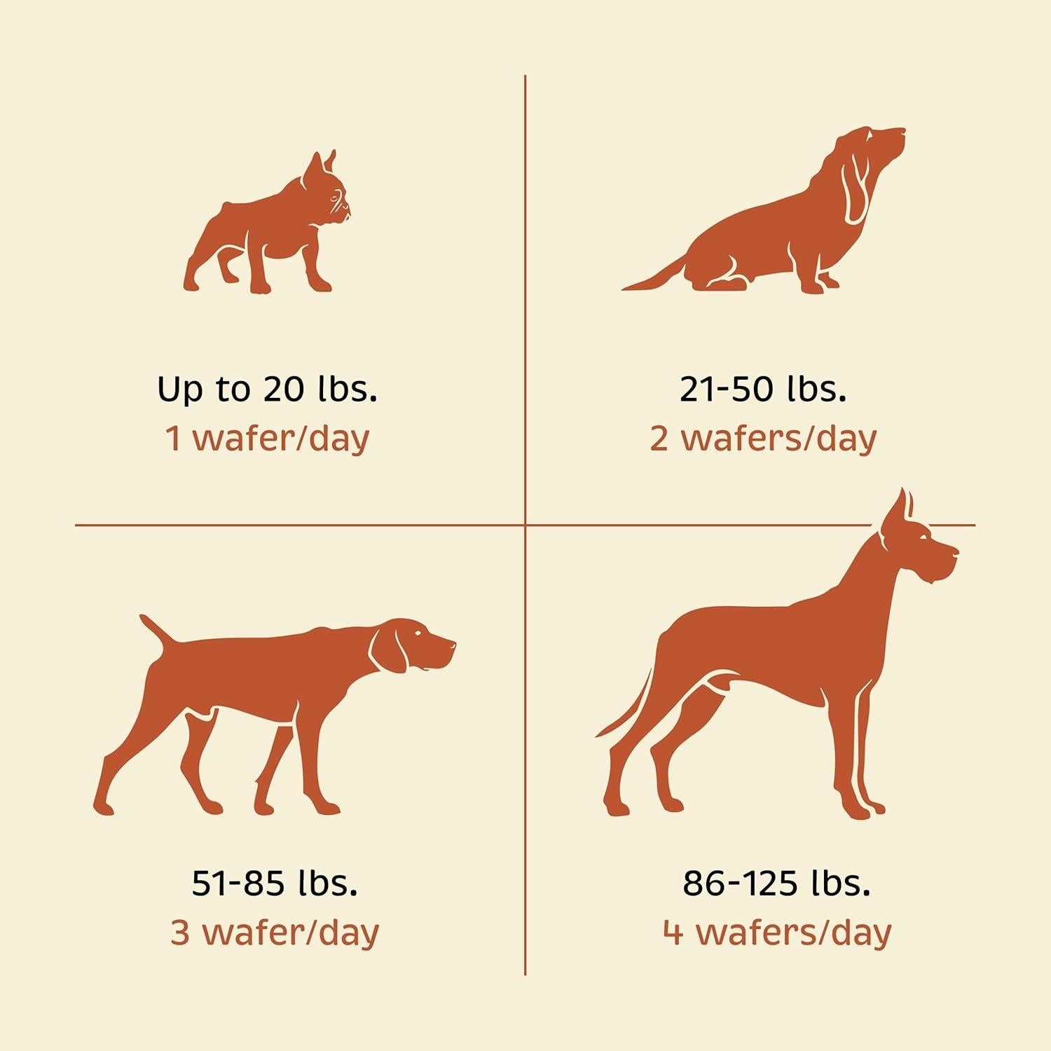Suplemento Salud Integral para Perros Standard Process 90 Tabletas