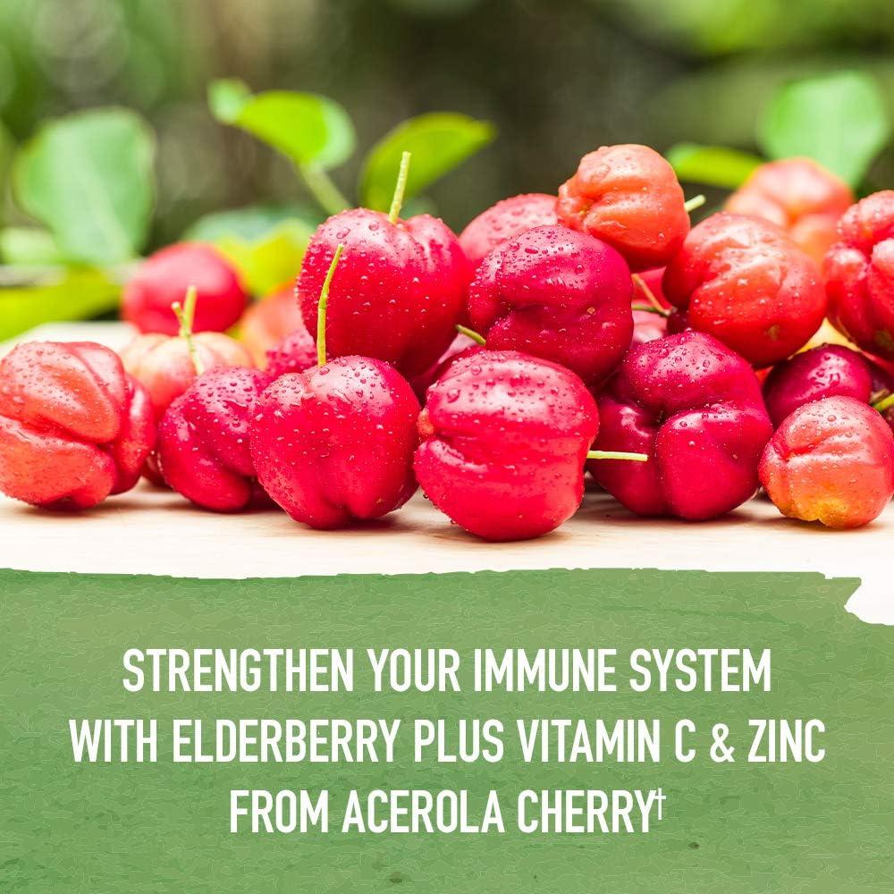 Jarabe Orgánico Jardín de Vida para Tos y Mucosidad 148 ml