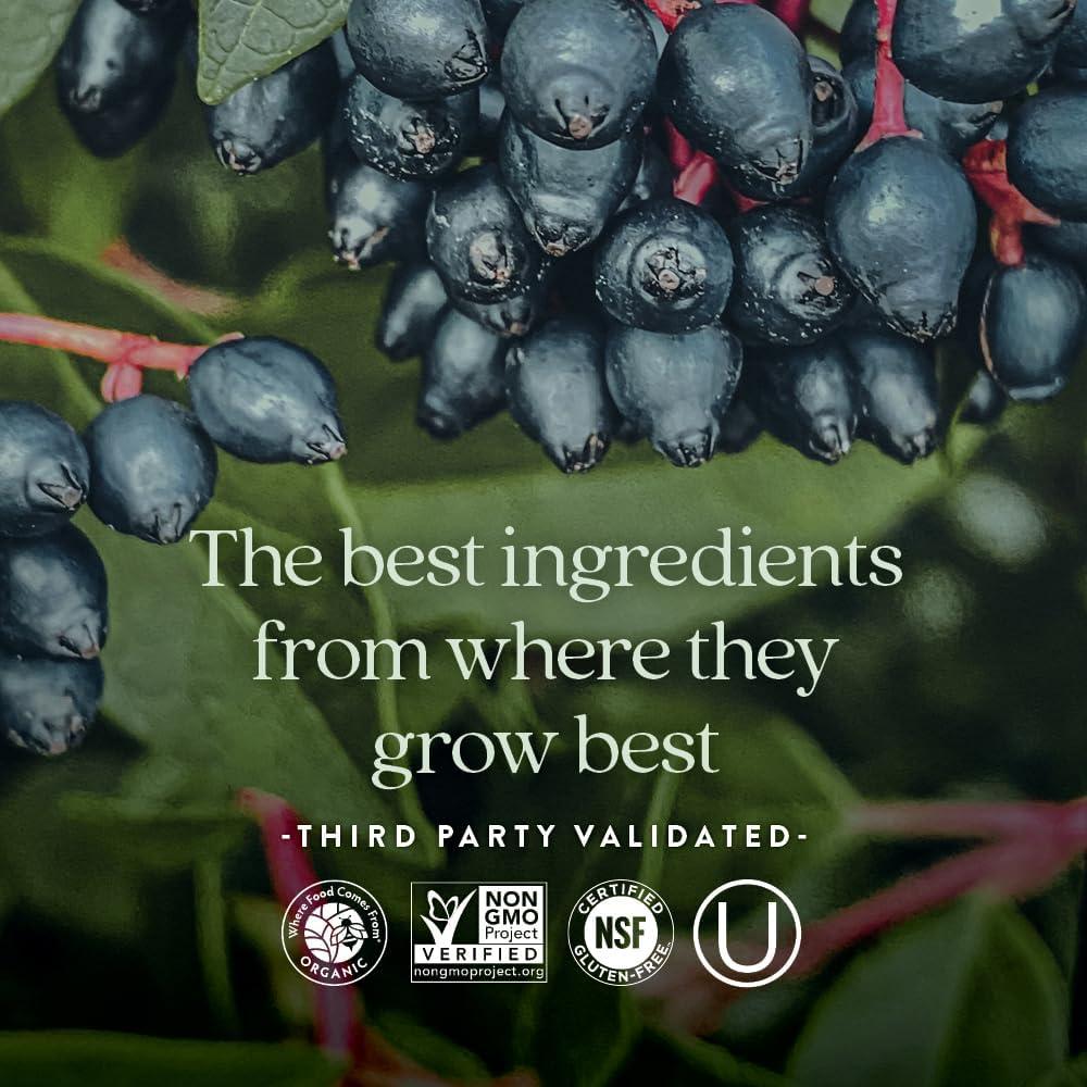 Suplemento de Zinc New Chapter 90 Tabletas - Soporte Inmunológico