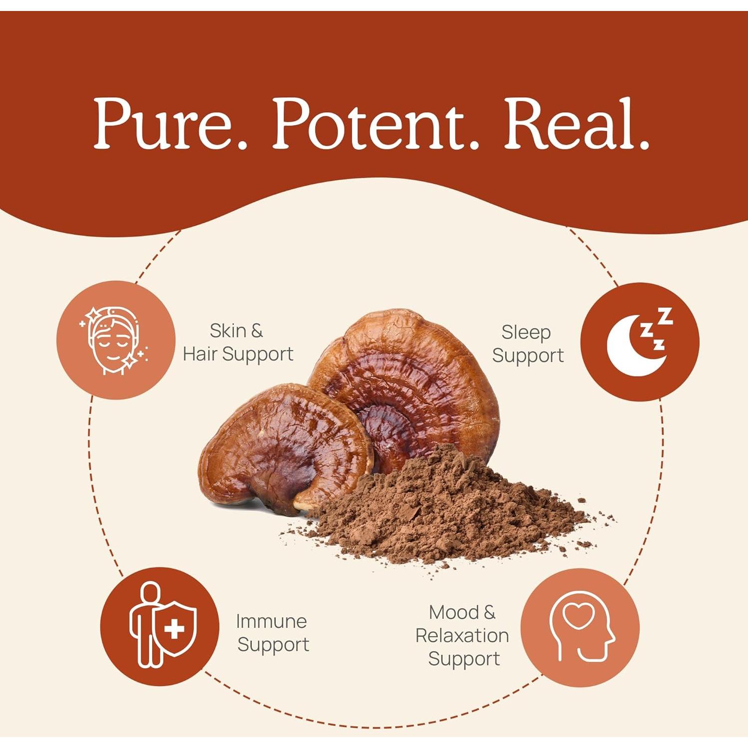 Polvo de Reishi Real Mushrooms 100g - Suplemento Orgánico Vegano