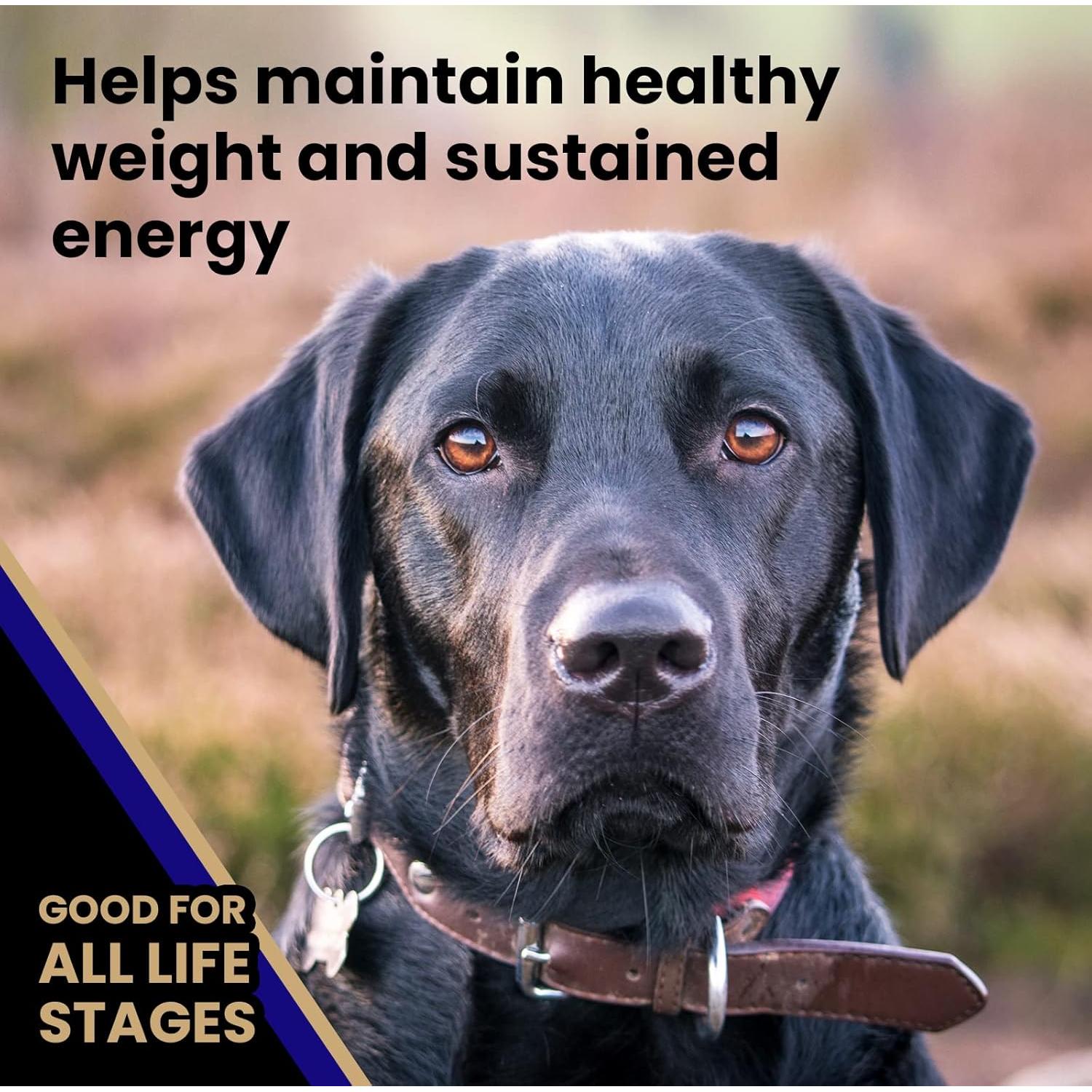 VICTOR Comida Seca para Perros 6.8 kg - Carne de Res y Arroz Integral