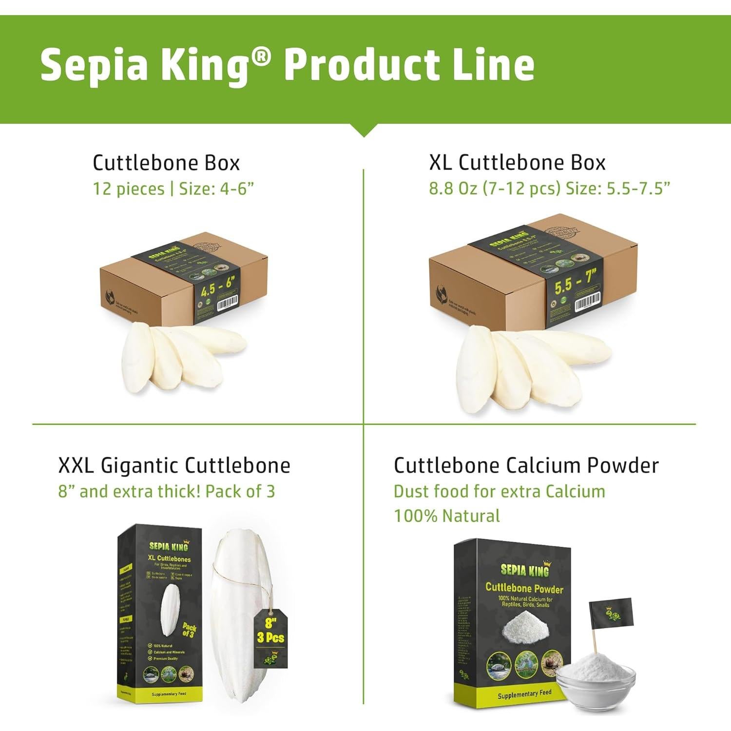 Cáscara de Sepia 100% Natural Sepia King - Paquete de 12