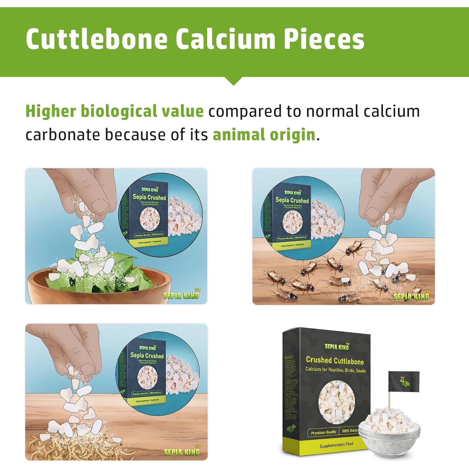 Hueso de Sepia 100% Natural Sepia King 99.22 g - Suplemento de Calcio para Aves, Tortugas y Reptiles