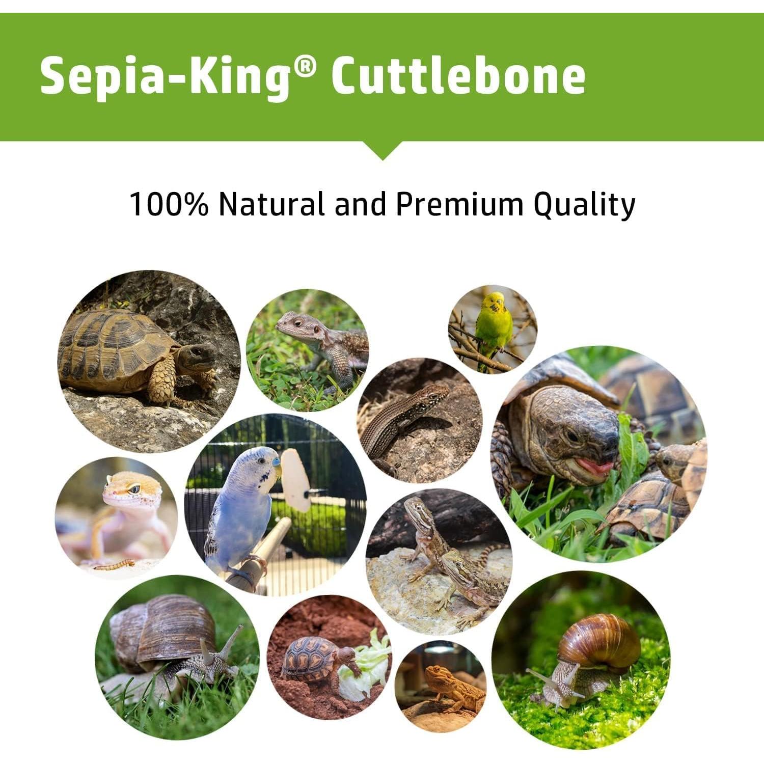 Hueso de Sepia 100% Natural Sepia King 99.22 g - Suplemento de Calcio para Aves, Tortugas y Reptiles