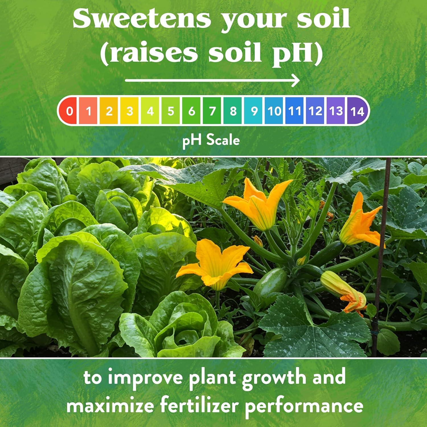 Cal de Jardín Orgánica Down to Earth 2.27kg - Fertilizante Natural