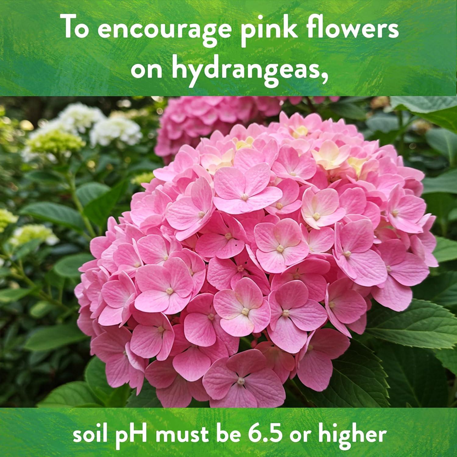 Cal de Jardín Orgánica Down to Earth 2.27kg - Fertilizante Natural