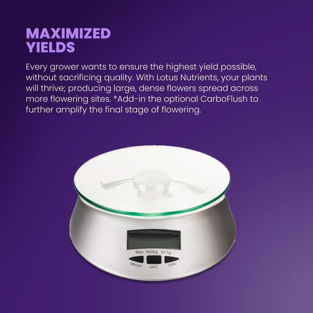 Nutrientes en Polvo Lotus Cal-Mag 425g - Hidroponía y Suelo