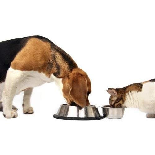 Suplemento de Calcio de Algas para Perros y Gatos 396g