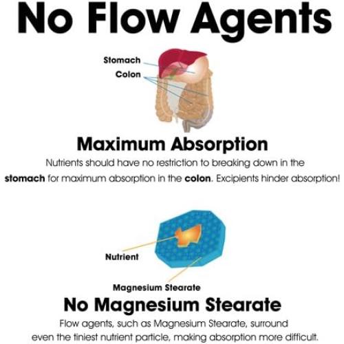 Suplemento Coral Cal-Mag K2 Dr. Clark 100 Cápsulas 993mg