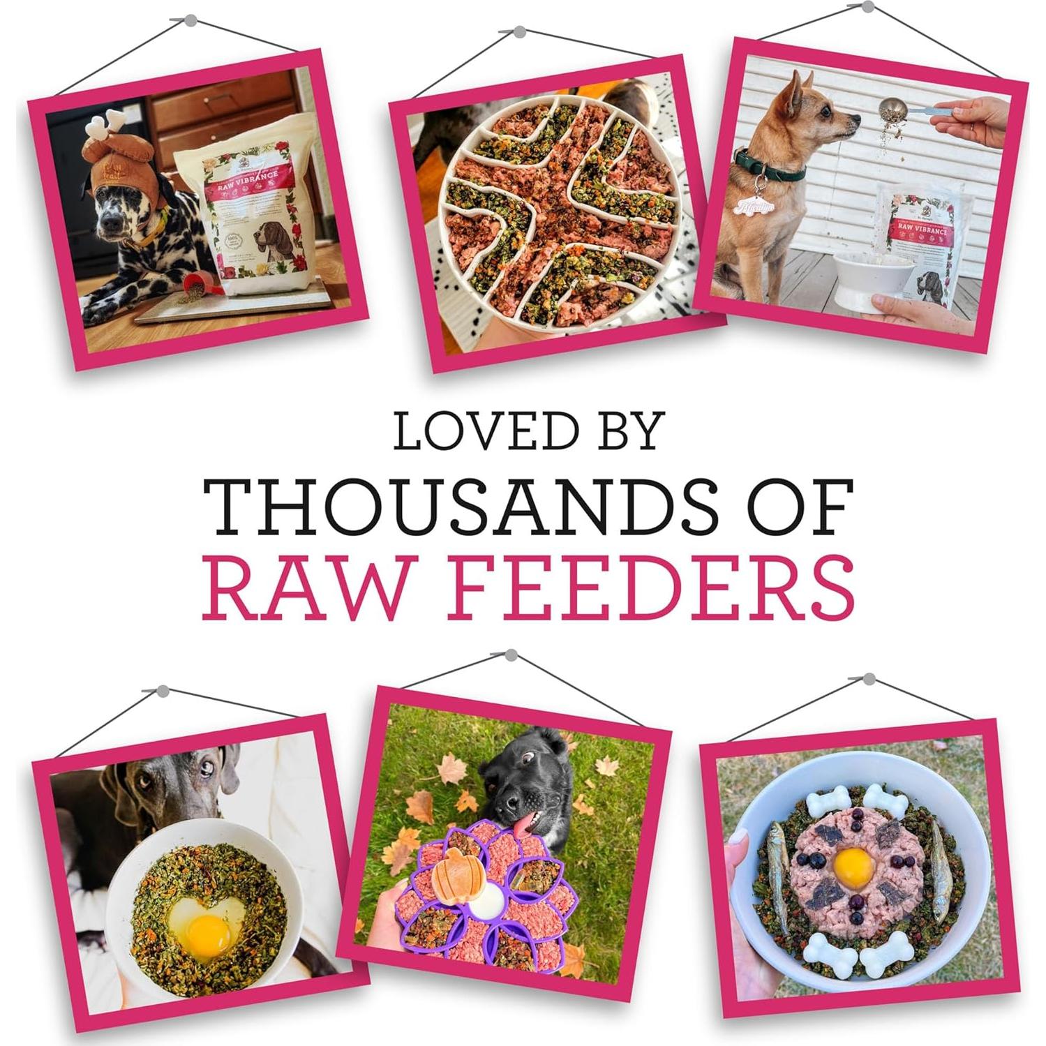 Raw Vibrance Grain Free Dehydrated Foundation for Raw Diet Dog Food (6 Pounds)