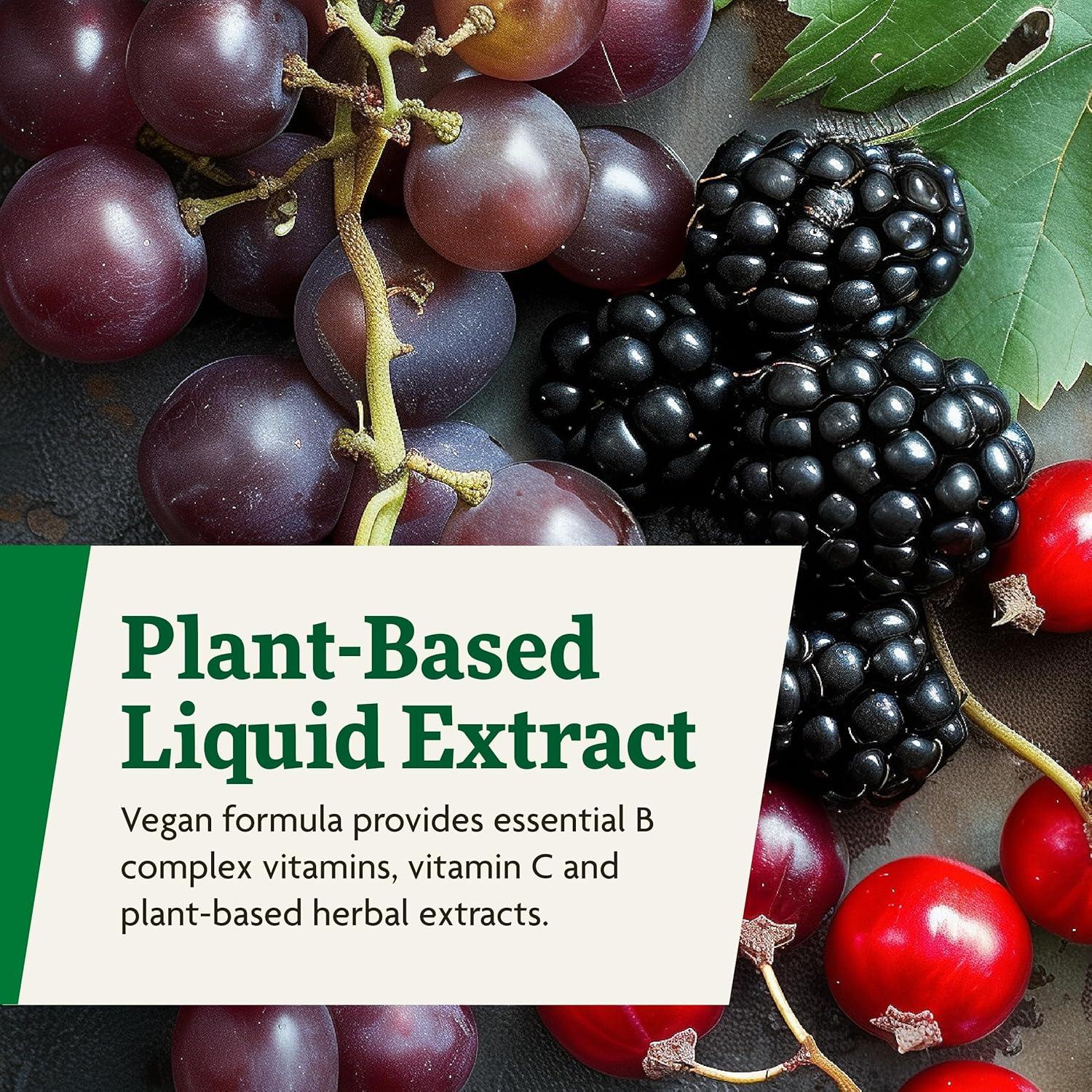 Floradix Floravital Suplemento Líquido de Hierro 250 ml