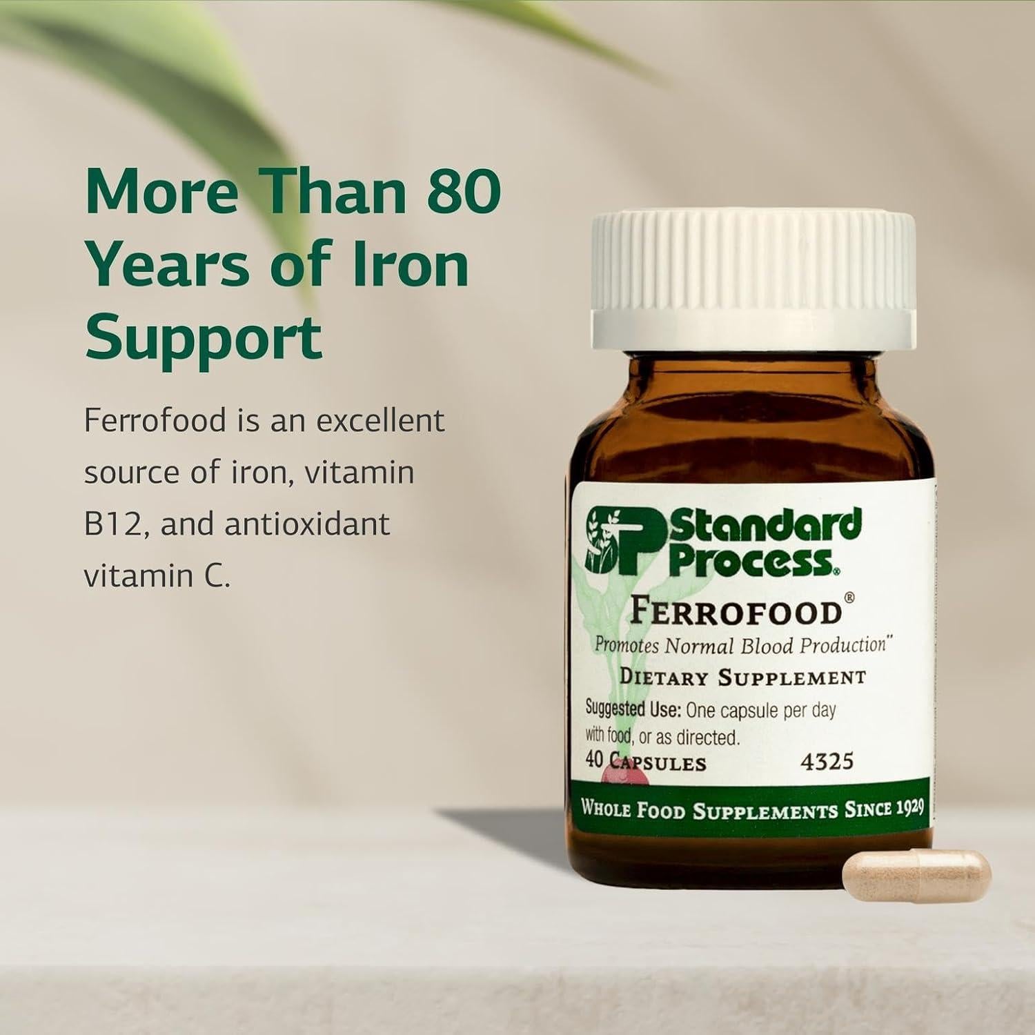 Ferrofood Standard Process - Suplemento de Hierro y Vitamina B12 40 Cápsulas