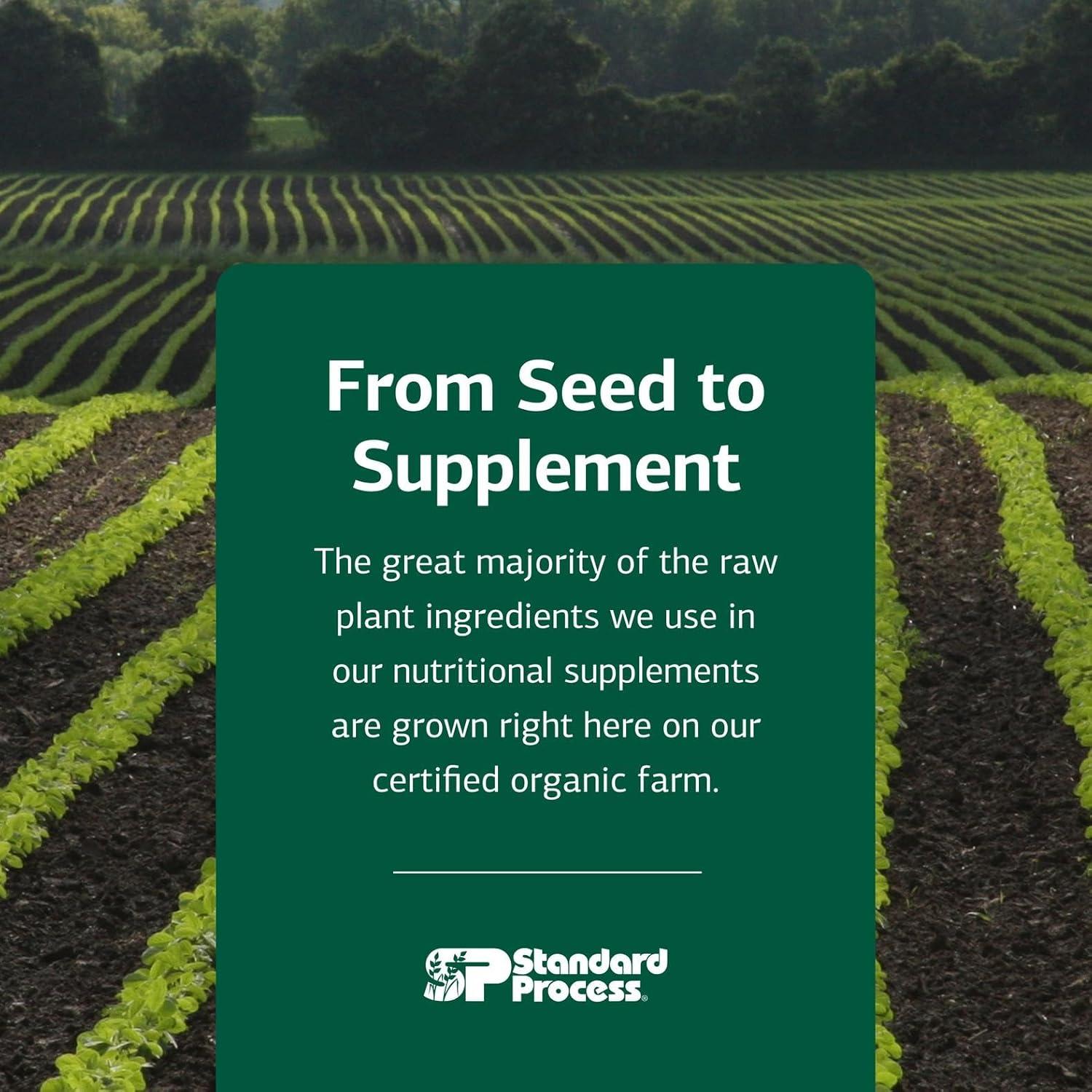 Ferrofood Standard Process - Suplemento de Hierro y Vitamina B12 40 Cápsulas