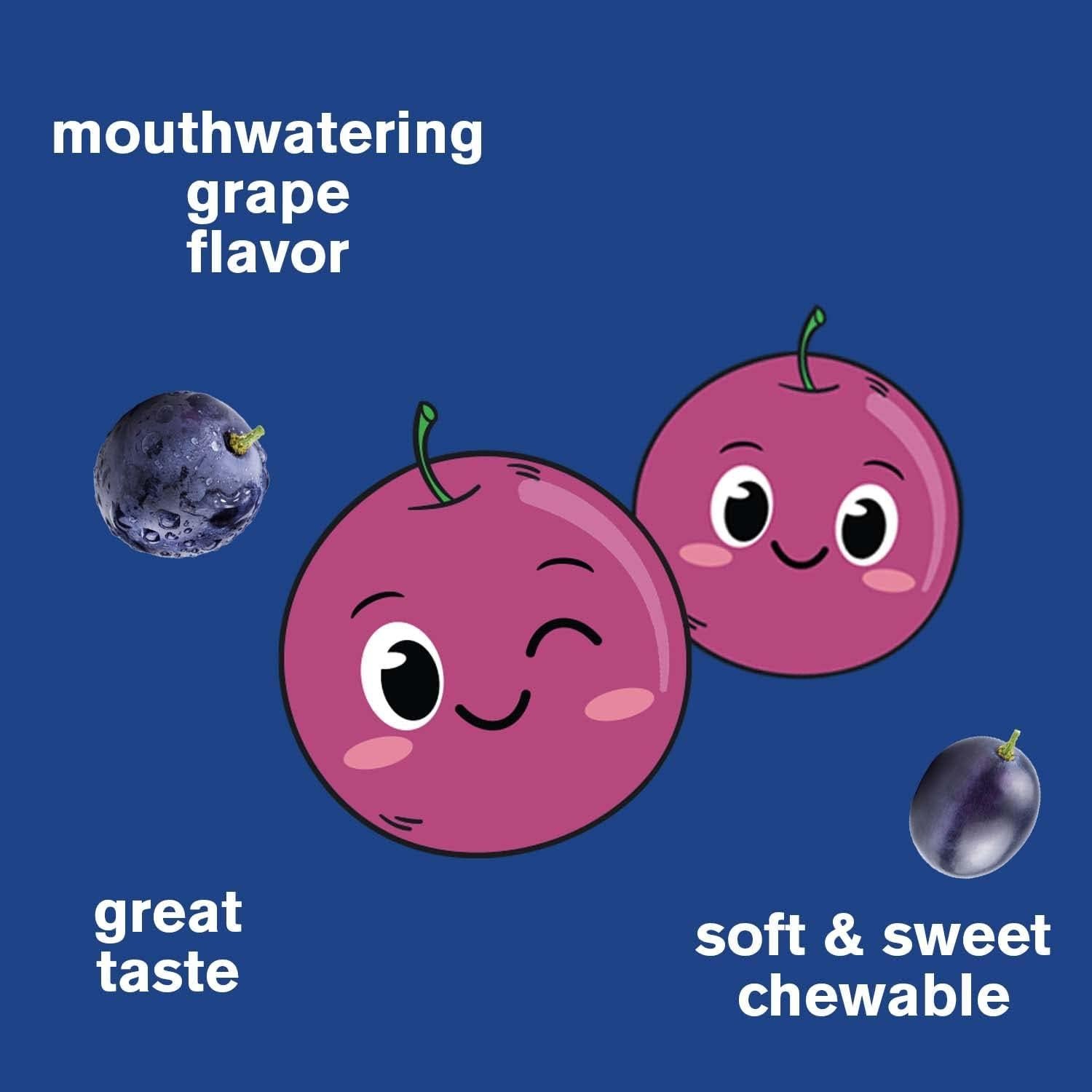 Gomitas de Hierro WellYeah para Niños con Vitamina C - 60 Unidades