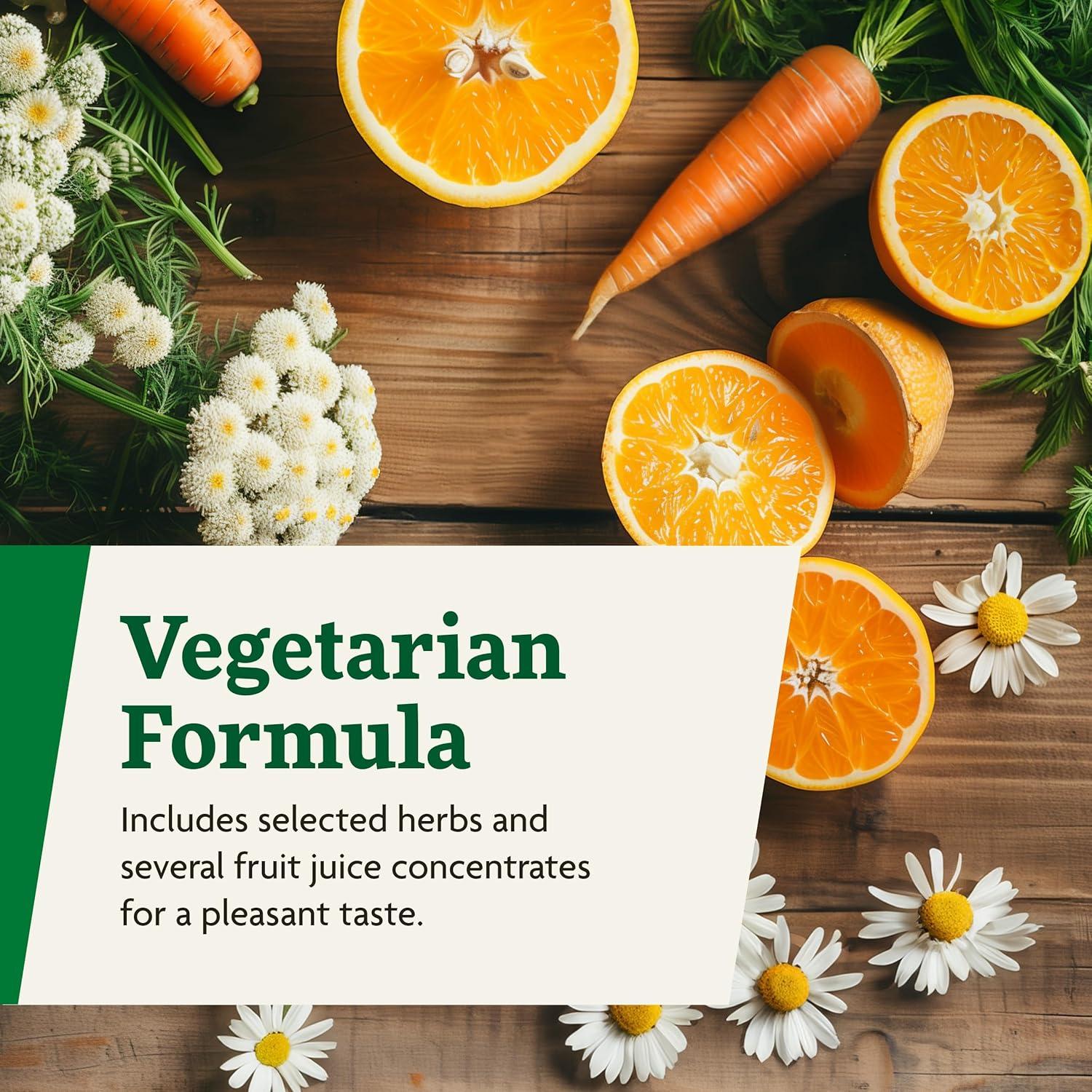 Floradix Magnesio Líquido 500 ml - Suplemento Vegetariano