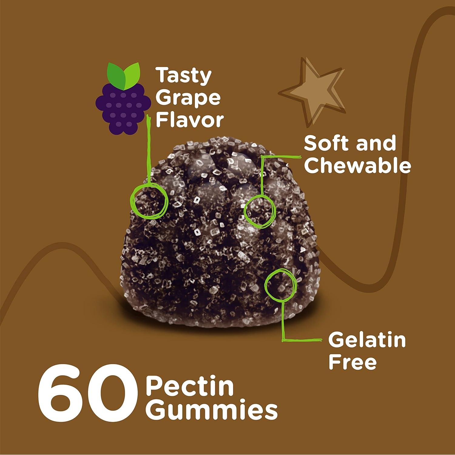 Gomitas de Hierro Viteey para Niños 60 Unidades - Veganas