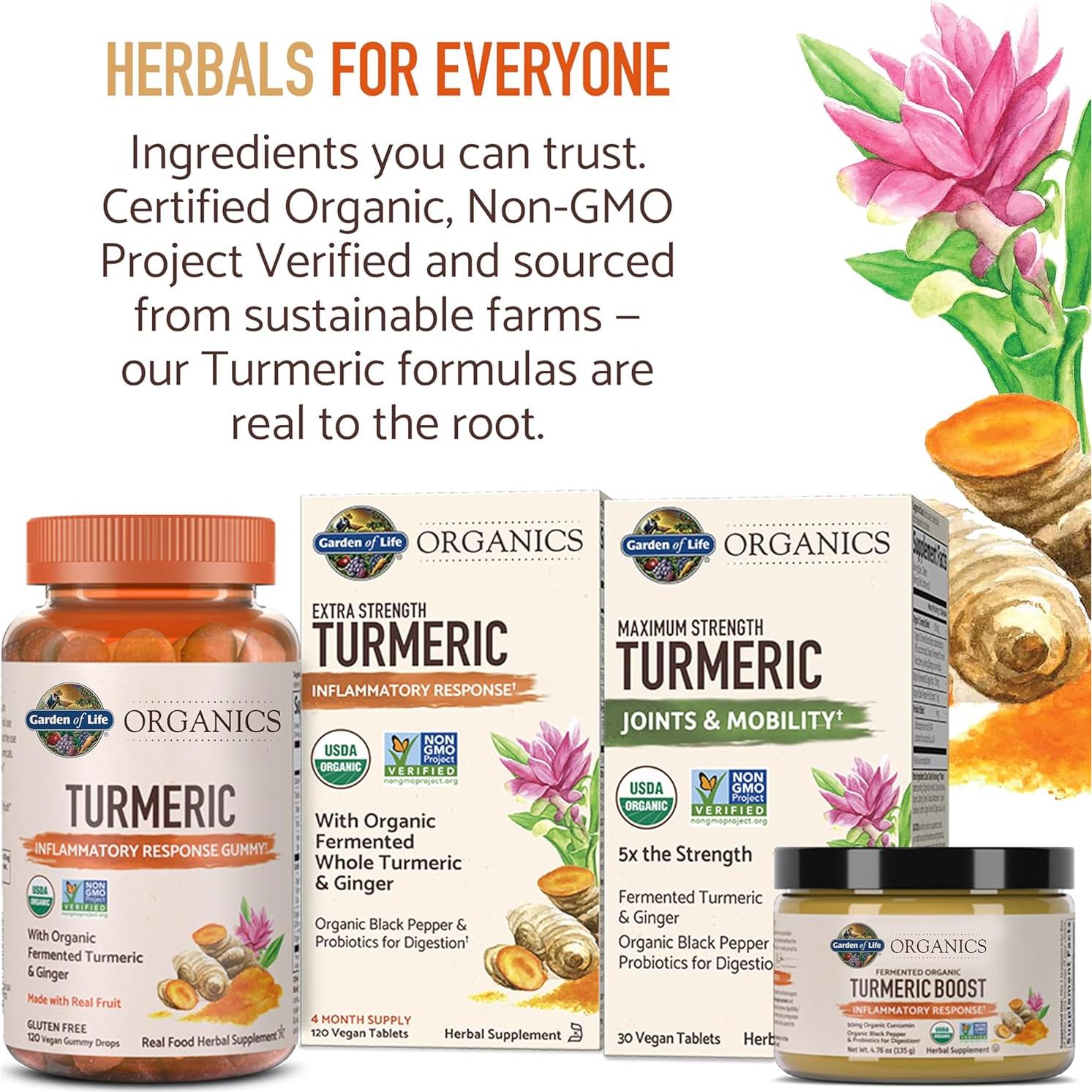 Suplemento Herbal Jardín de Vida Cúrcuma 100mg 60 Tabletas