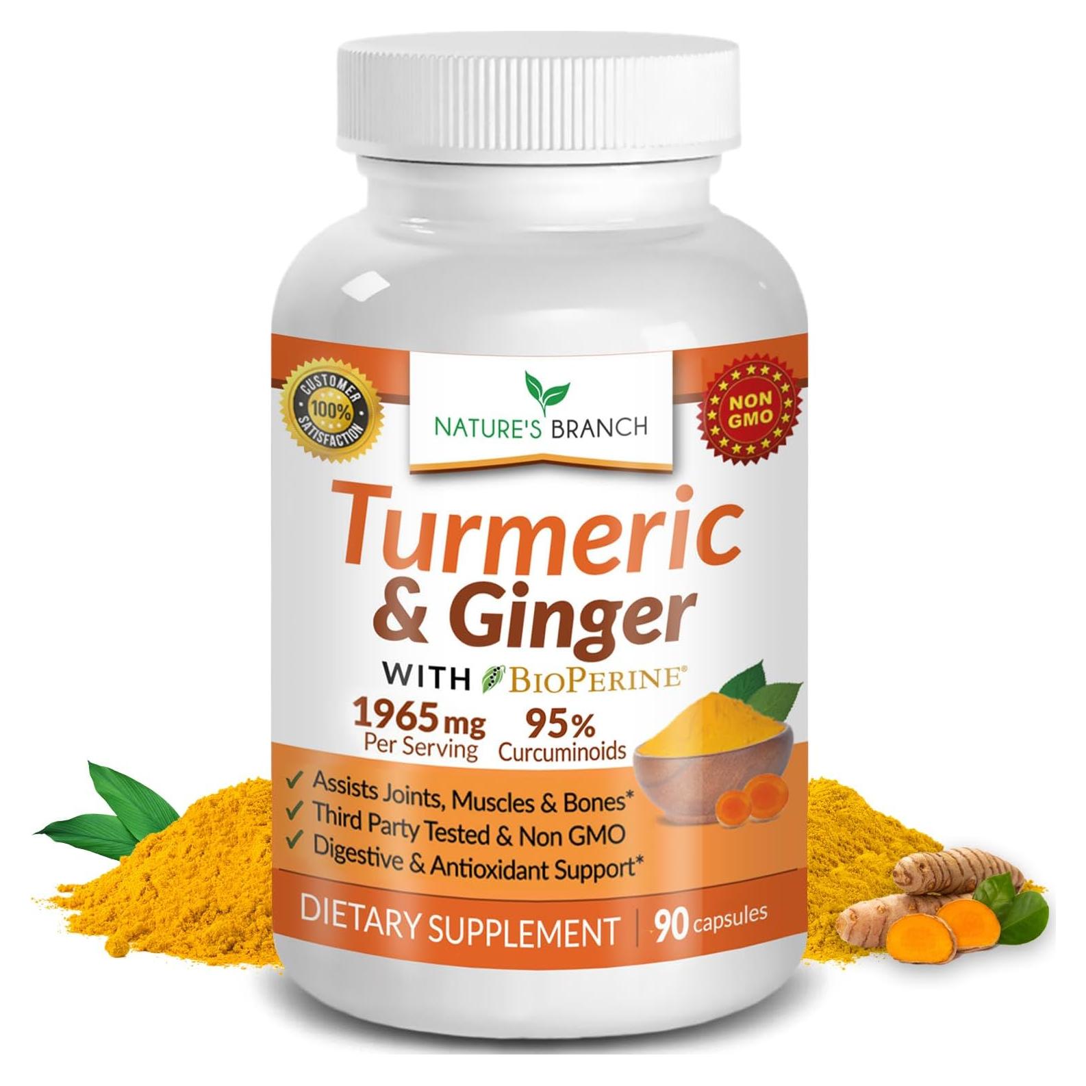 Suplemento de Cúrcuma y Jengibre Nature's Branch 90 Cápsulas