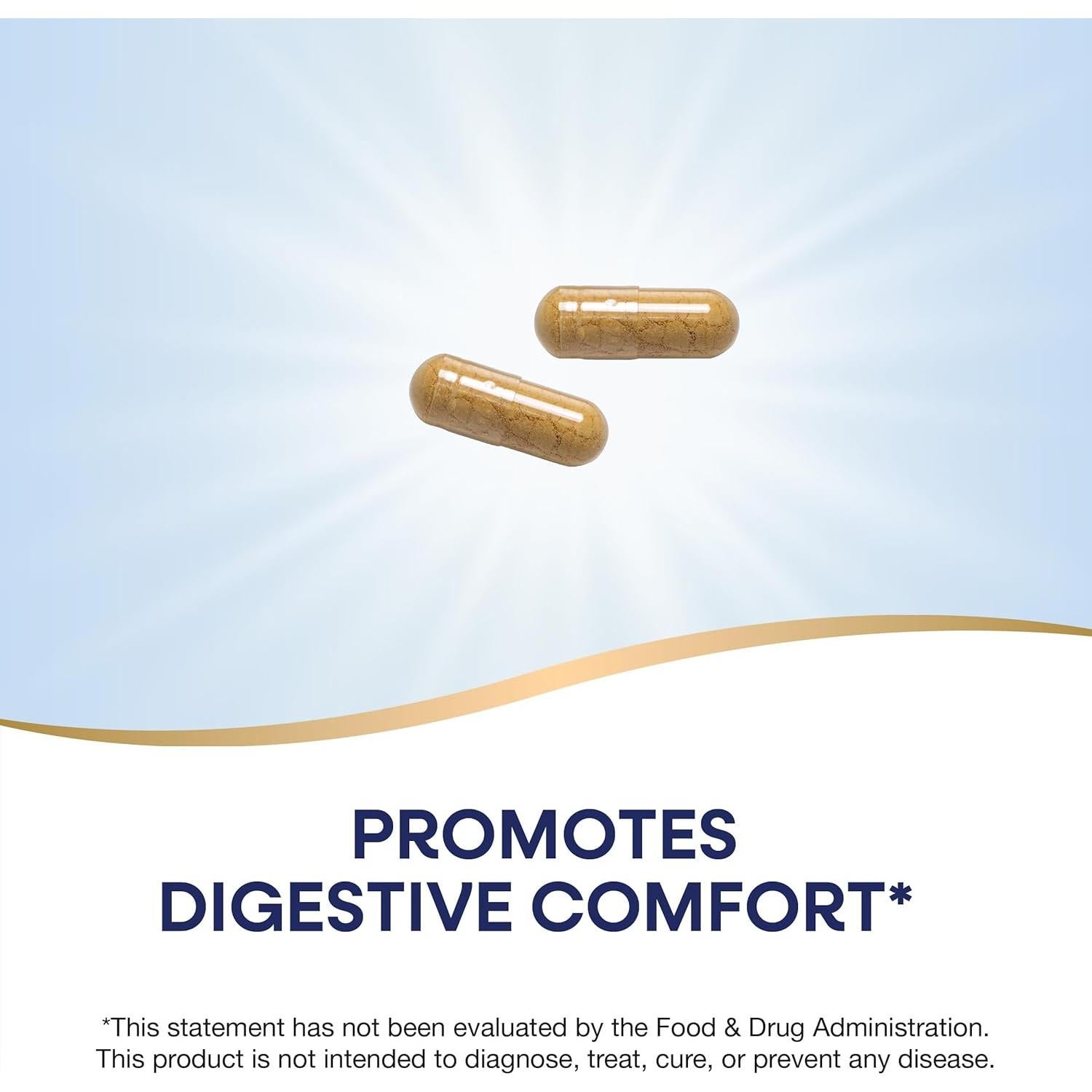 Raíz de Jengibre Nature's Way 1100 mg 240 Cápsulas Veganas