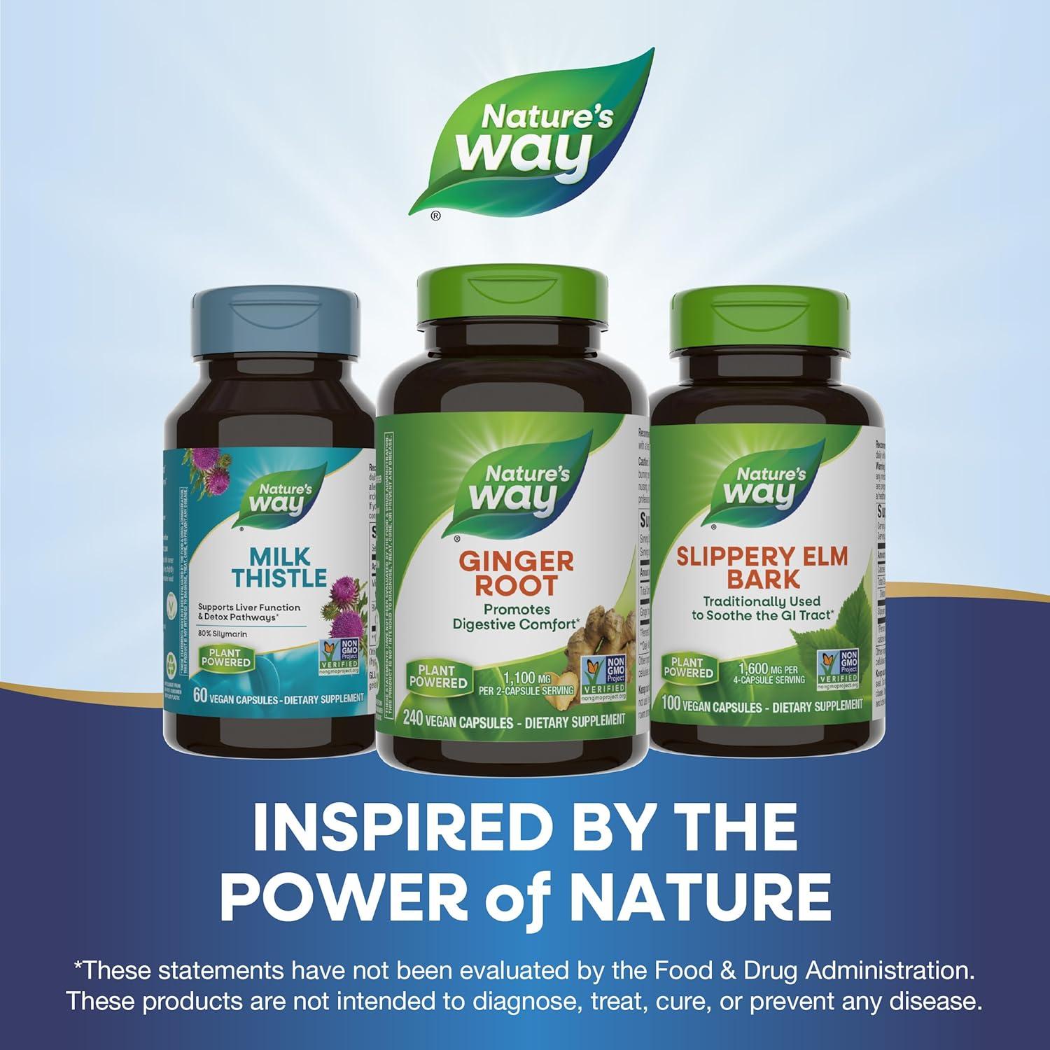 Raíz de Jengibre Nature's Way 1100 mg 240 Cápsulas Veganas