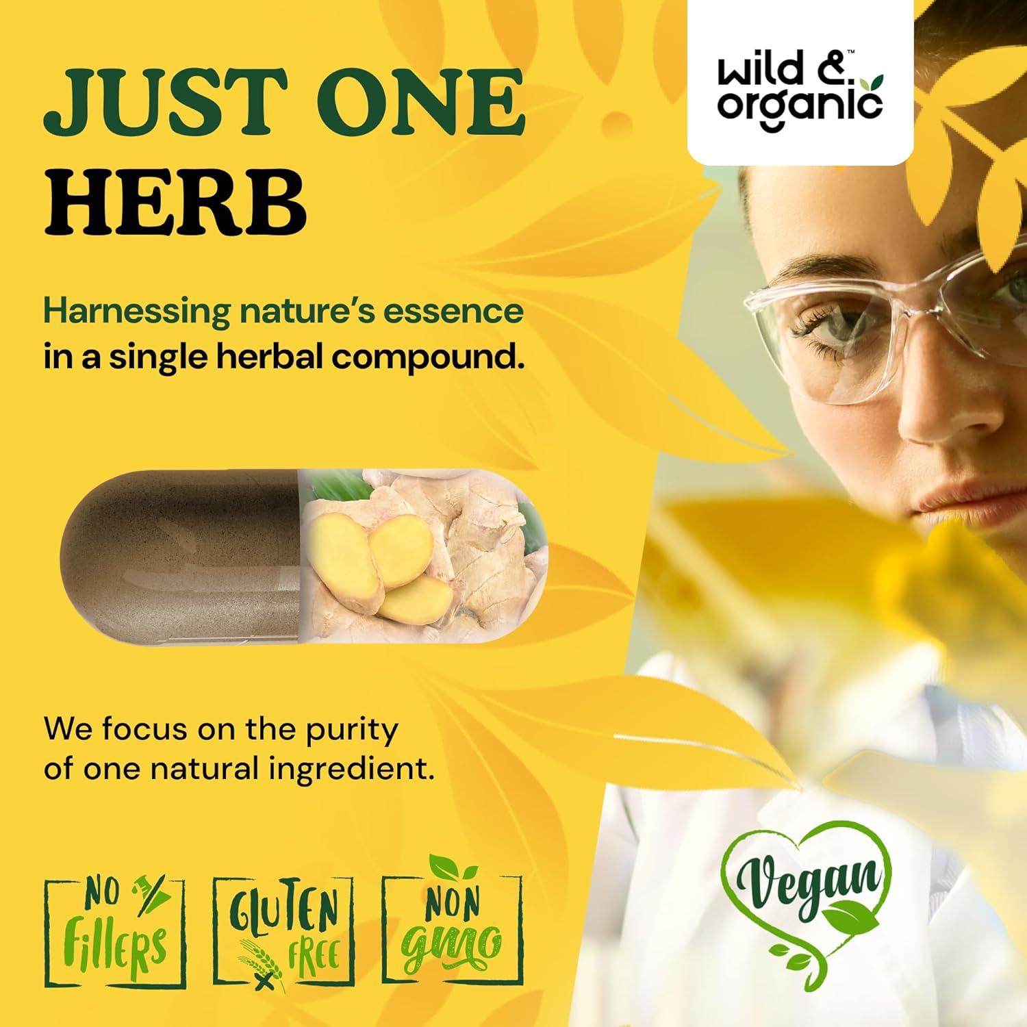 Cápsulas de Jengibre Silvestre y Orgánico 60 Caps - Soporte Inmunológico