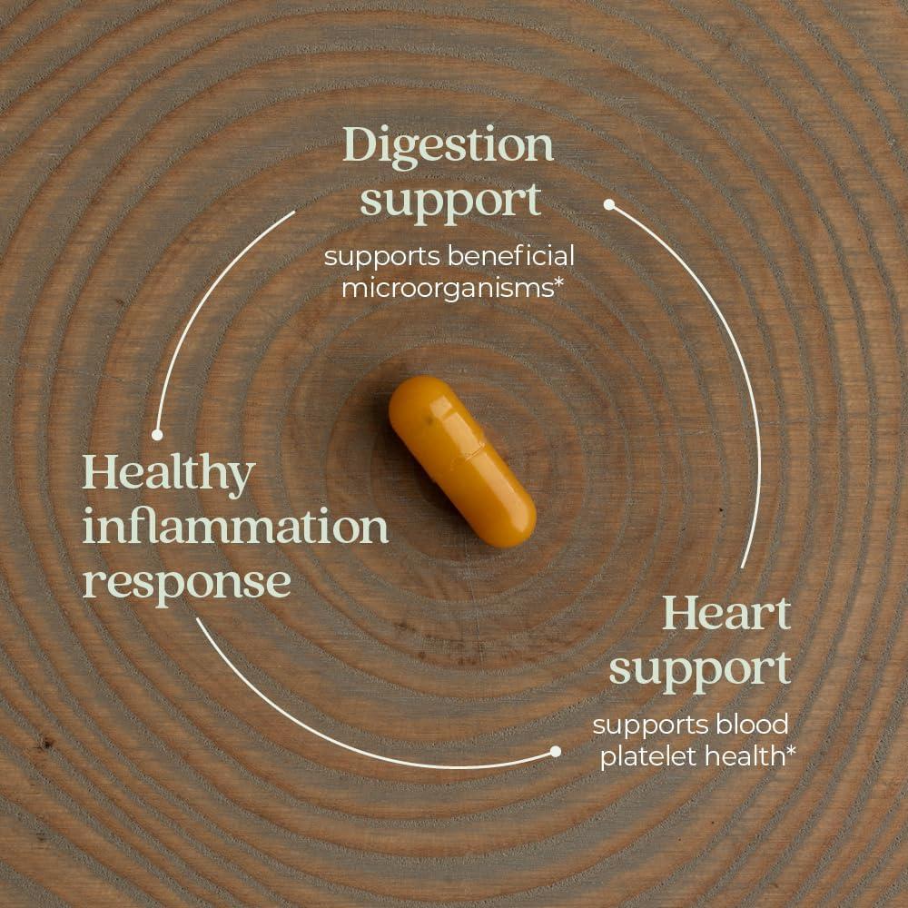 Suplemento de Jengibre New Chapter 60 Cápsulas Vegetarianas