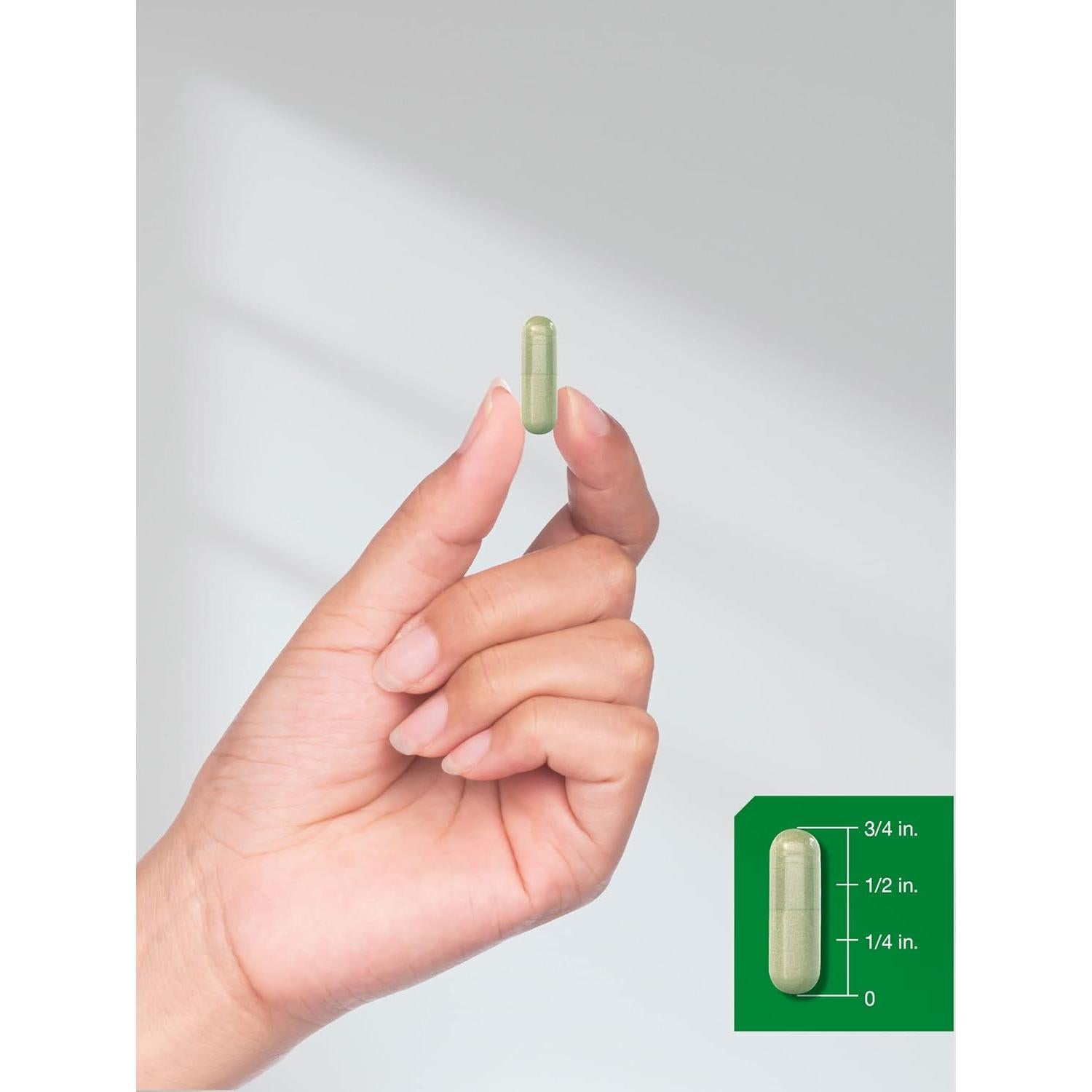 Cápsulas de Echinacea Horbaach 1300mg - 300 Unidades Veganas