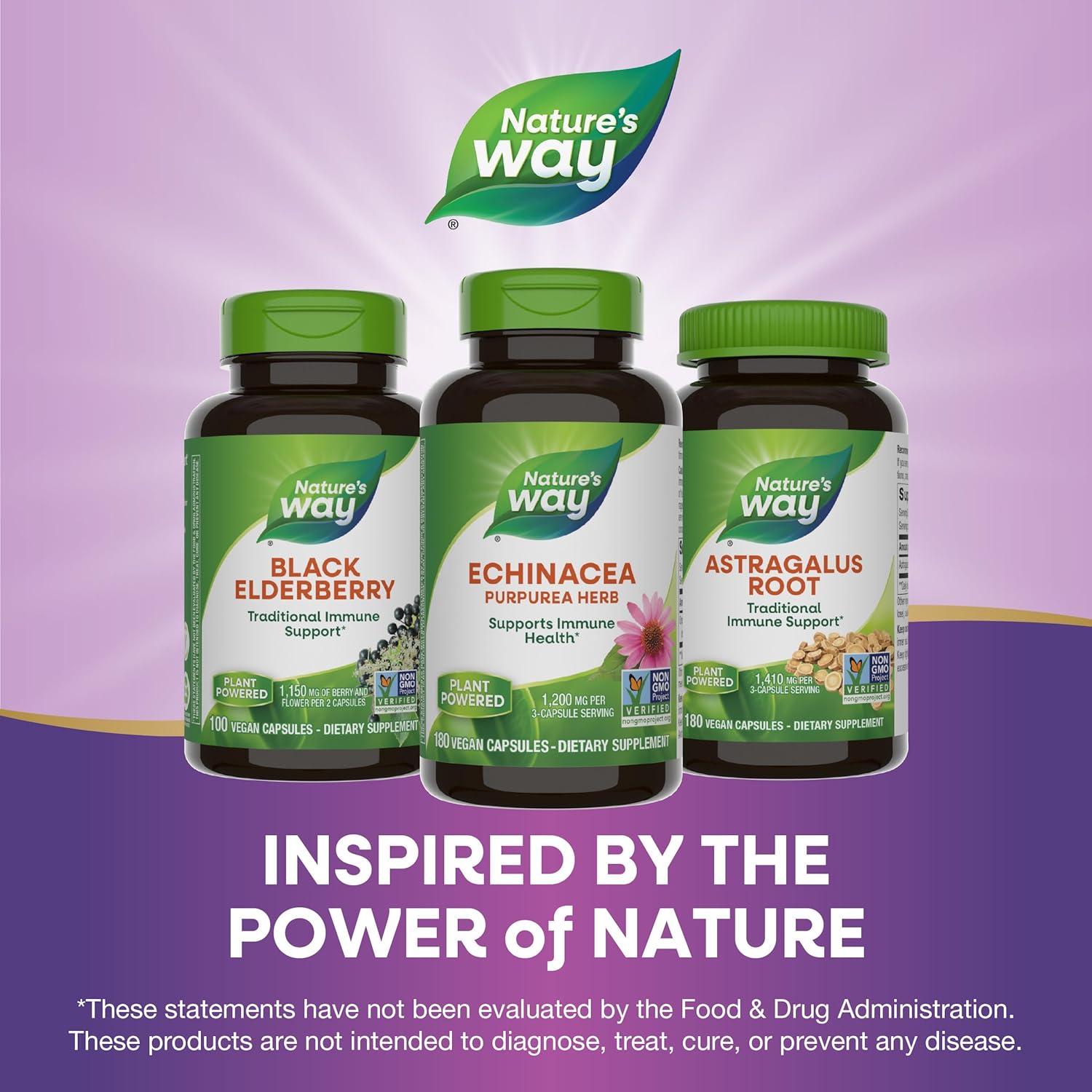 Echinacea Purpurea Nature's Way 1200 mg 180 Cápsulas Veganas