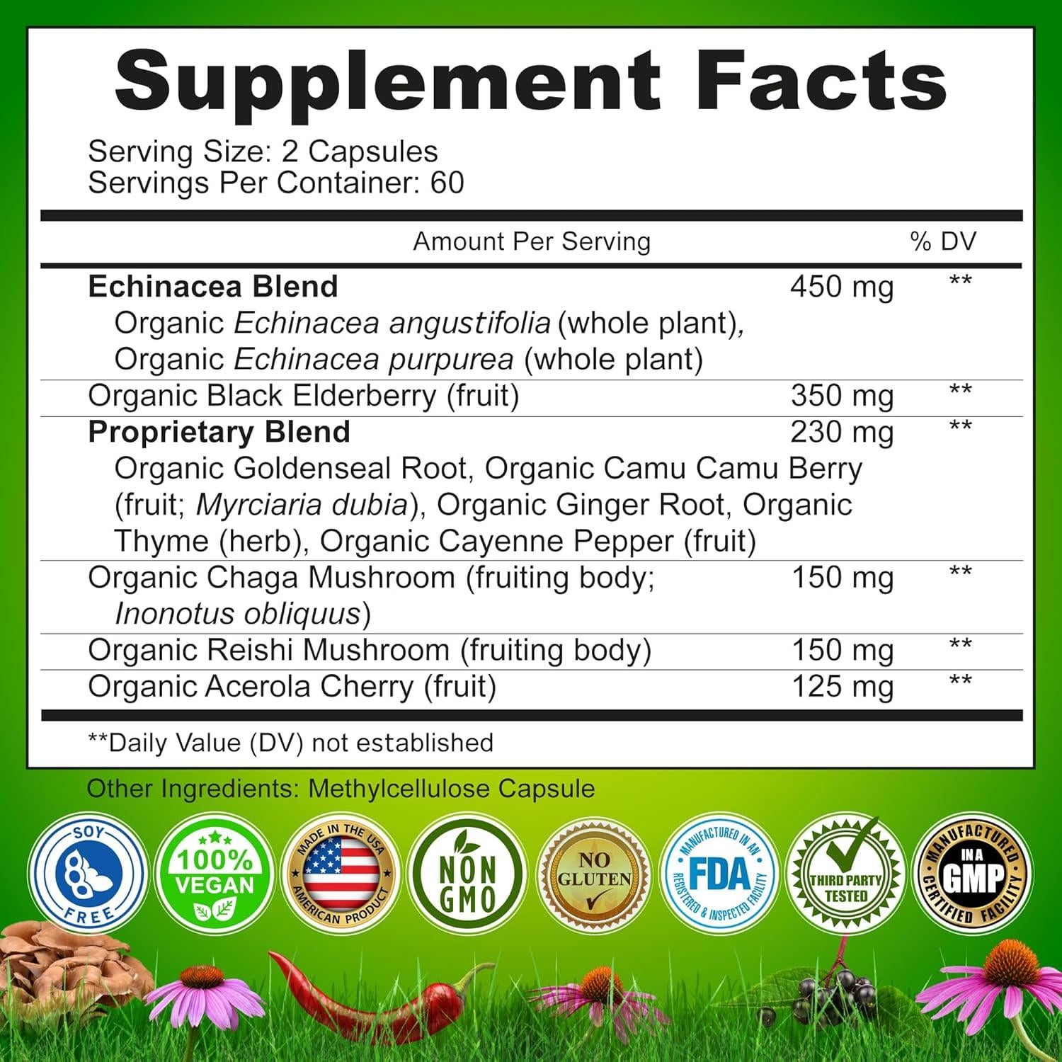Cápsulas de Echinacea Goldenseal Nutrition Restore 120 Unidades