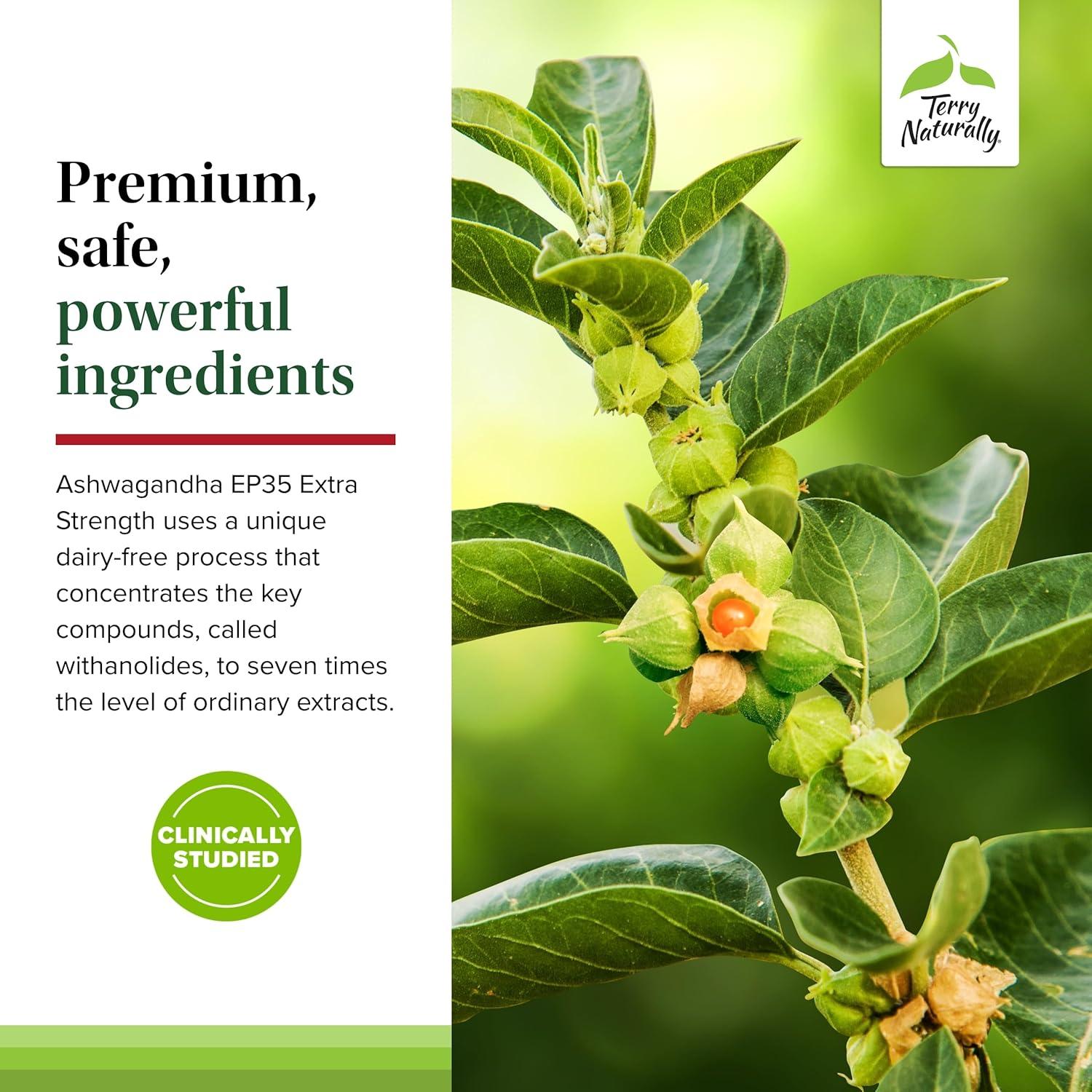 Suplemento Herbal Terry Naturally Ashwagandha EP35 - 60 Cápsulas