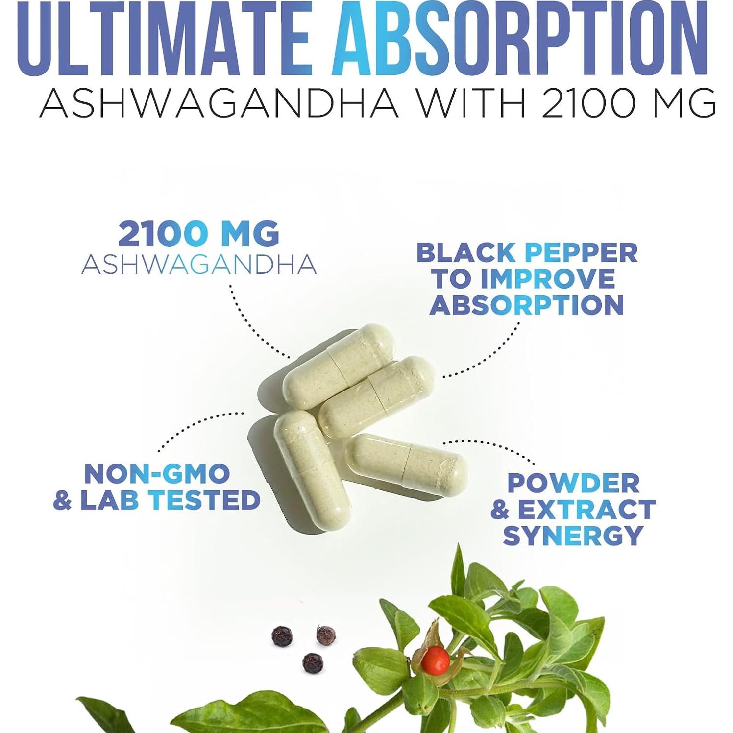 Suplemento de Ashwagandha 2100mg Health Nutrition Naturals - 120 Cápsulas Vegetarianas