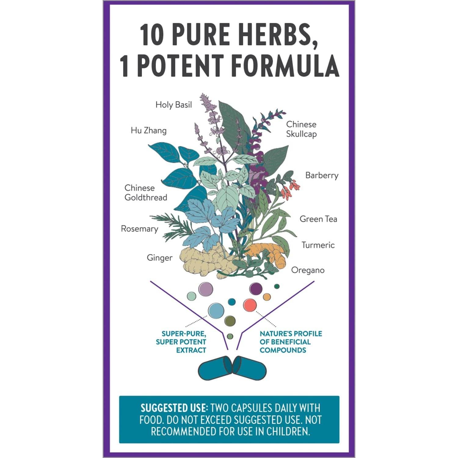 Zyflamend New Chapter Suplemento Herbal para Articulaciones 60 Cápsulas