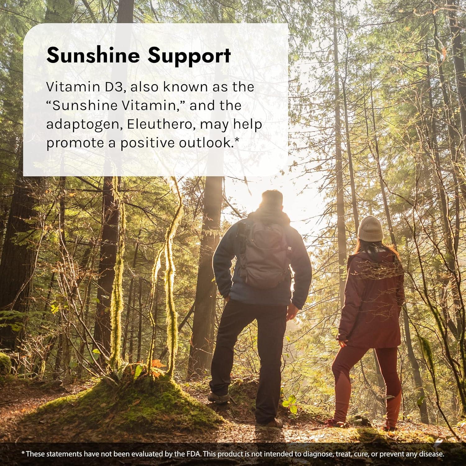 Irwin Naturals Mega D3 y K2 + Cúrcuma 60 Cápsulas Blandas