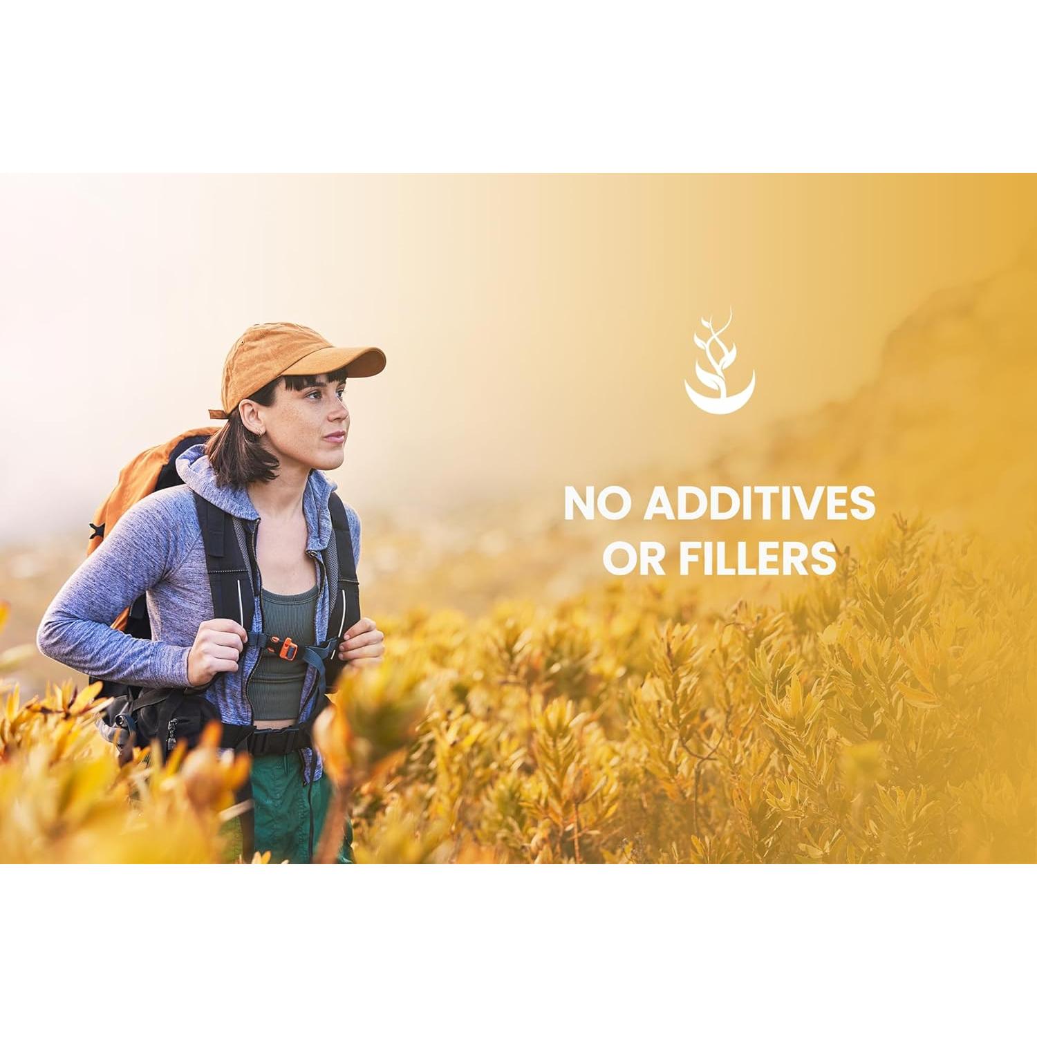 Cápsulas de Raíz de Jengibre Puras 365 Unidades - Ingredientes Orgánicos