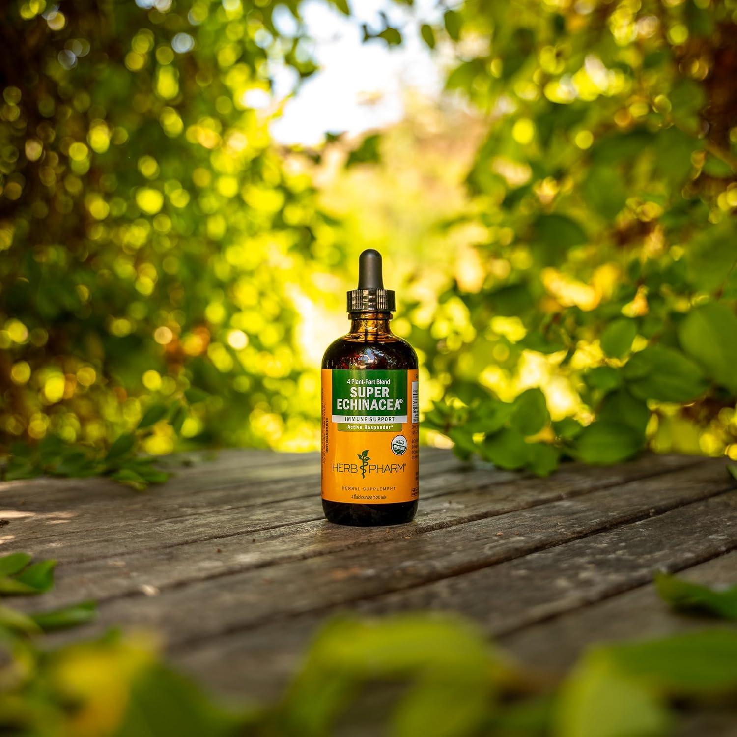 Extracto Líquido Echinacea Super Herb Pharm 118 ml Orgánico