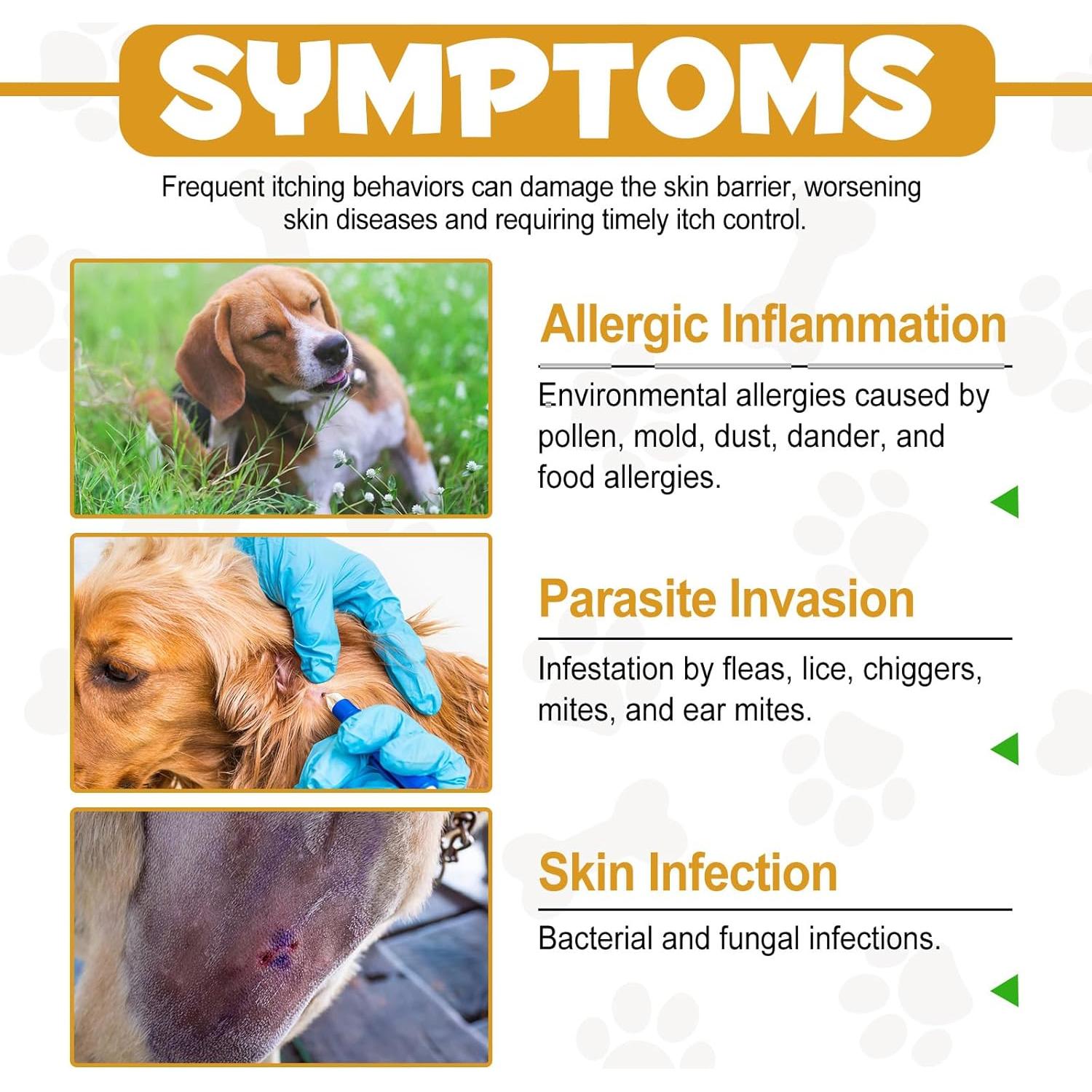 Gotas Alivio Alergias Perros ARMOYA 140g - Natural con Cúrcuma