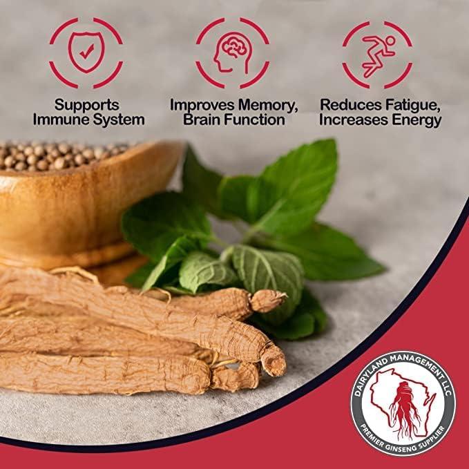 Polvo de Ginseng Panax Rojo Dairyland 226.8 g - Energía y Vitalidad