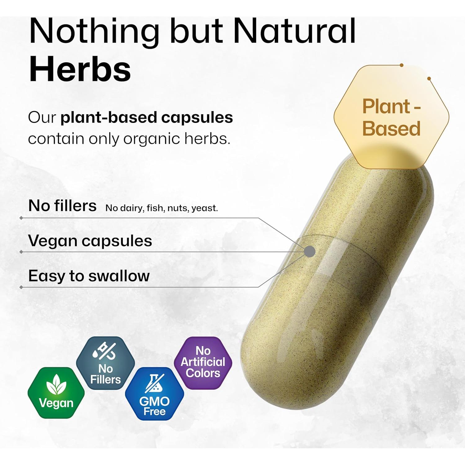 Suplemento Cerebral BioKrauter - 100 Cápsulas - 1300 mg Ashwagandha, Ginseng y Ginkgo Biloba