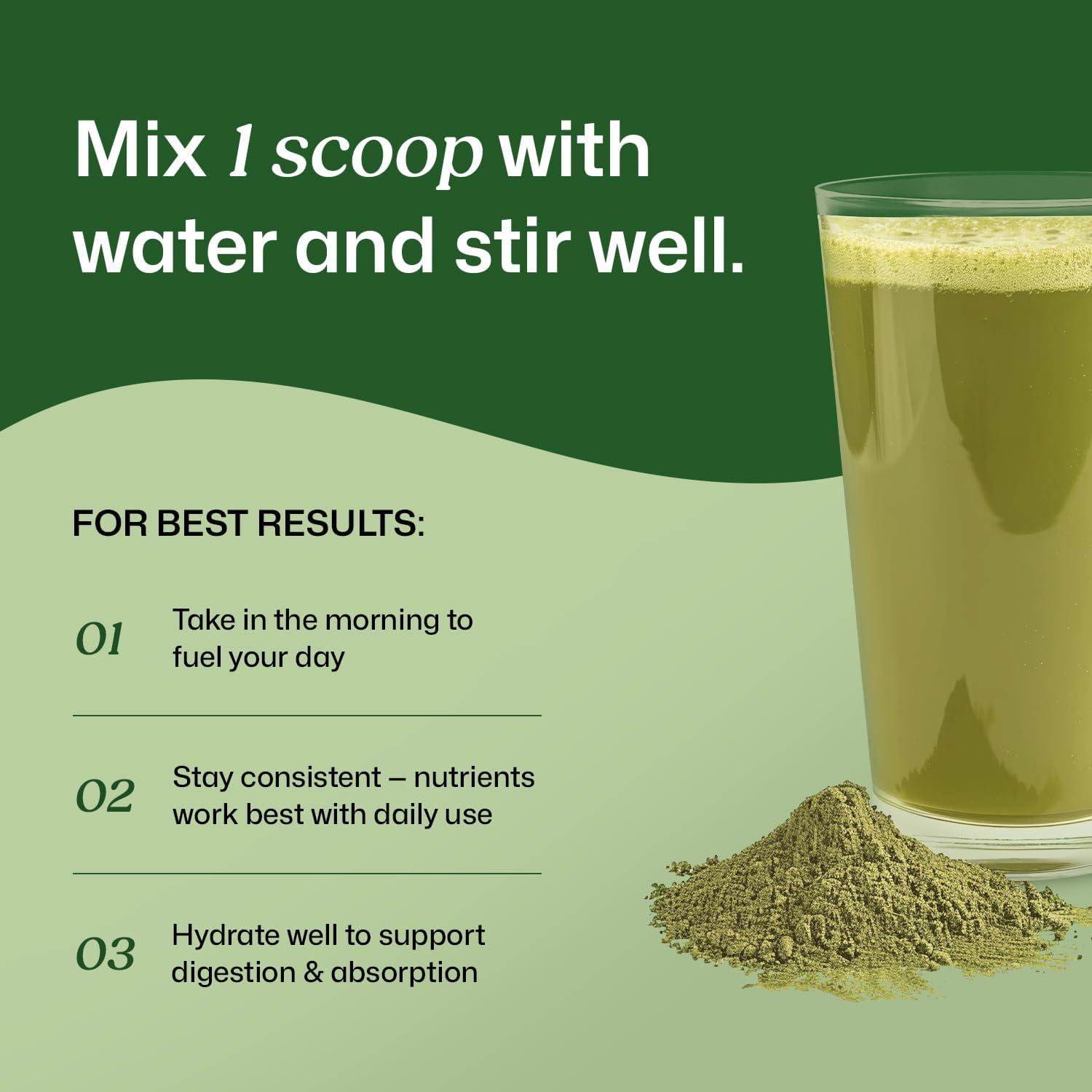 ColonBroom Polvo de Verduras 150g | Suplemento Digestivo Natural