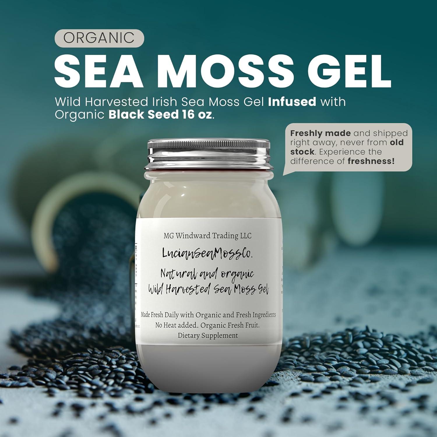 Gel de Musgo Marino Orgánico 450g Chlorella - Cosechado en EE.UU.