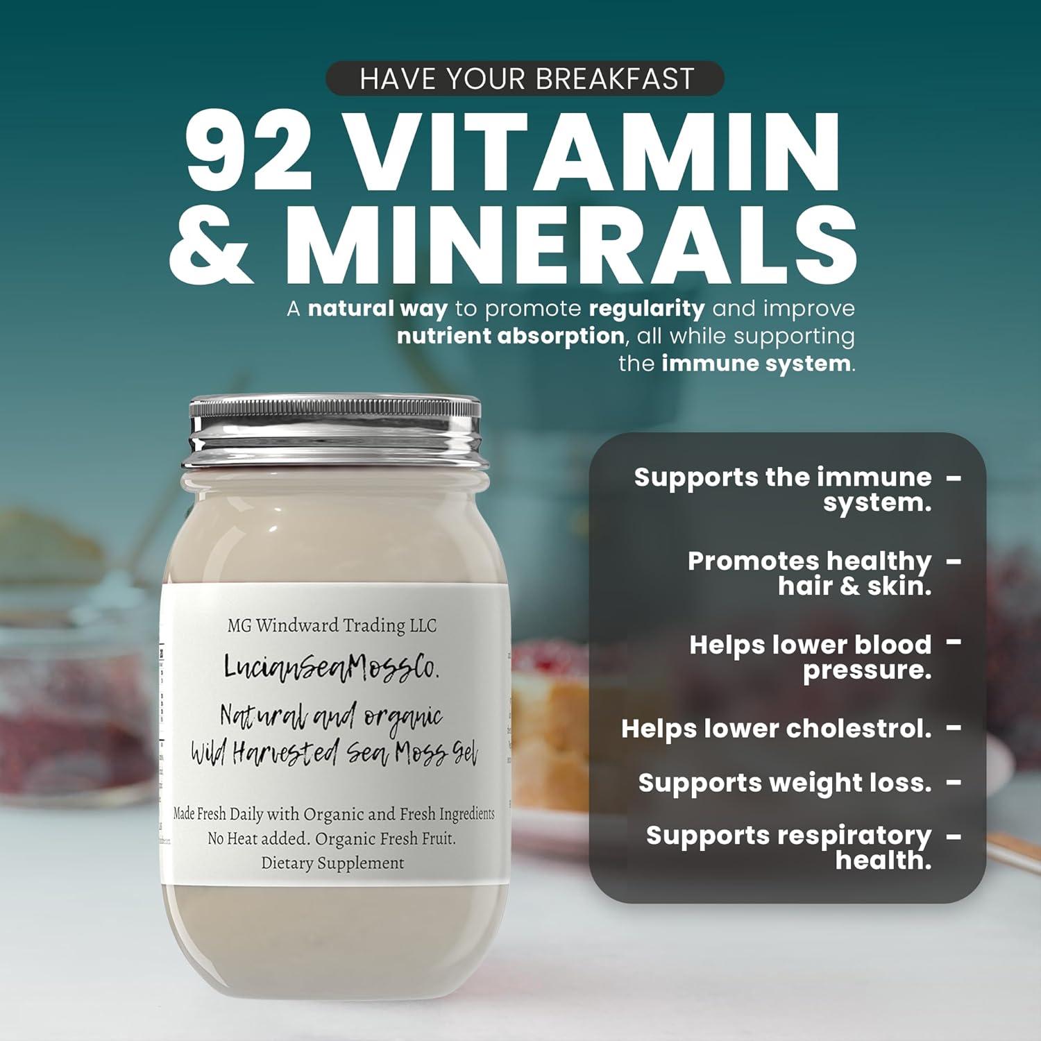 Gel de Musgo Marino Orgánico 450g Chlorella - Cosechado en EE.UU.