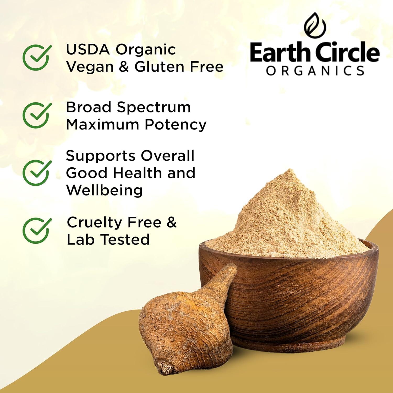 Polvo de Raíz de Maca Amarilla Earth Circle 454g Vegano