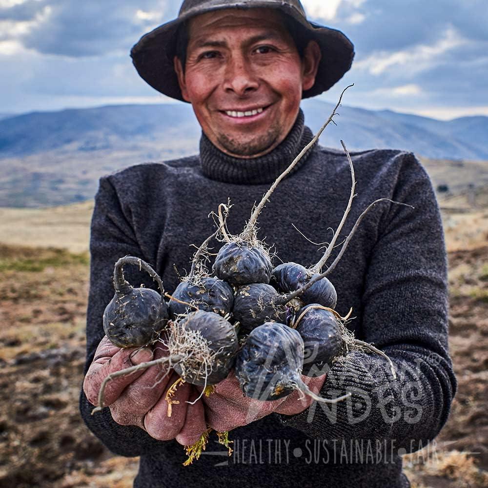 Cápsulas de Maca Premium Amazon Andes 3000mg 200 unidades