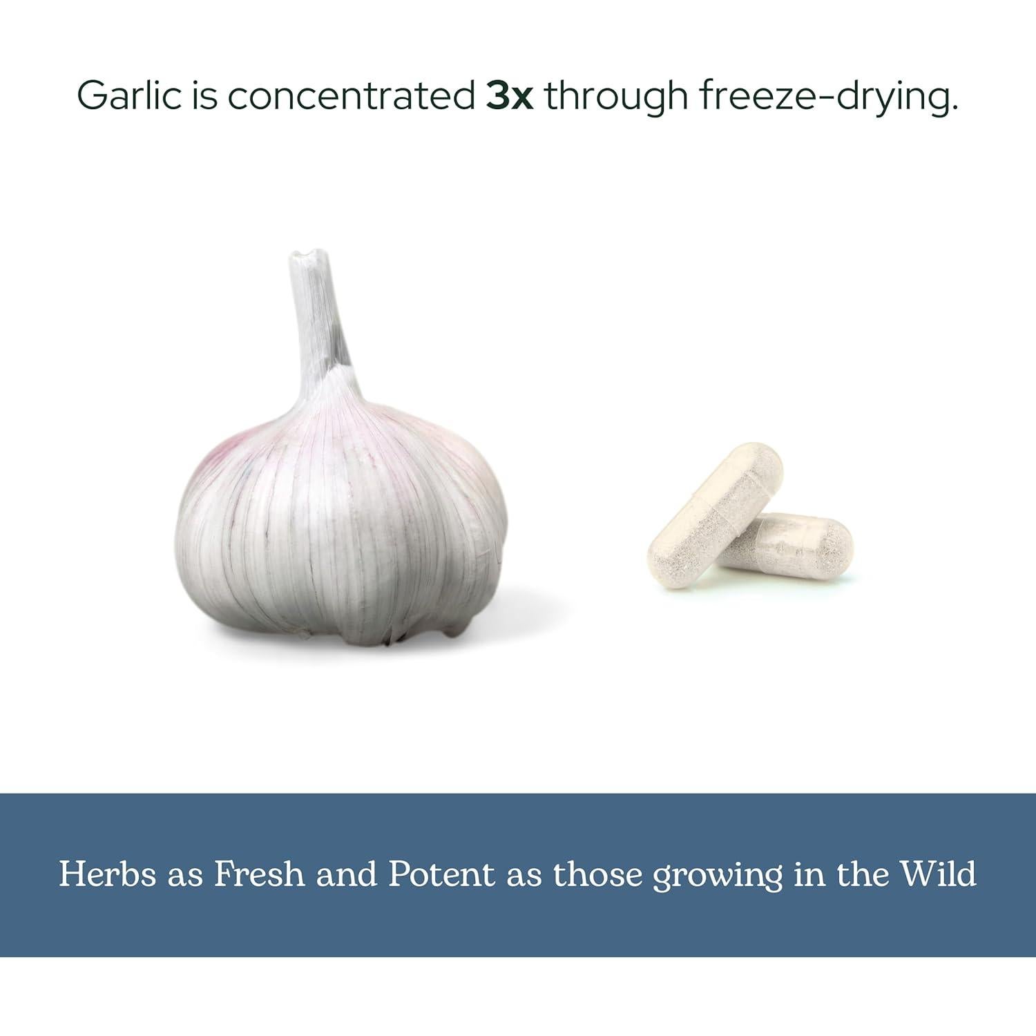 Cápsulas de Ajo Liofilizado Eclectic Herb 120 CT 550 mg